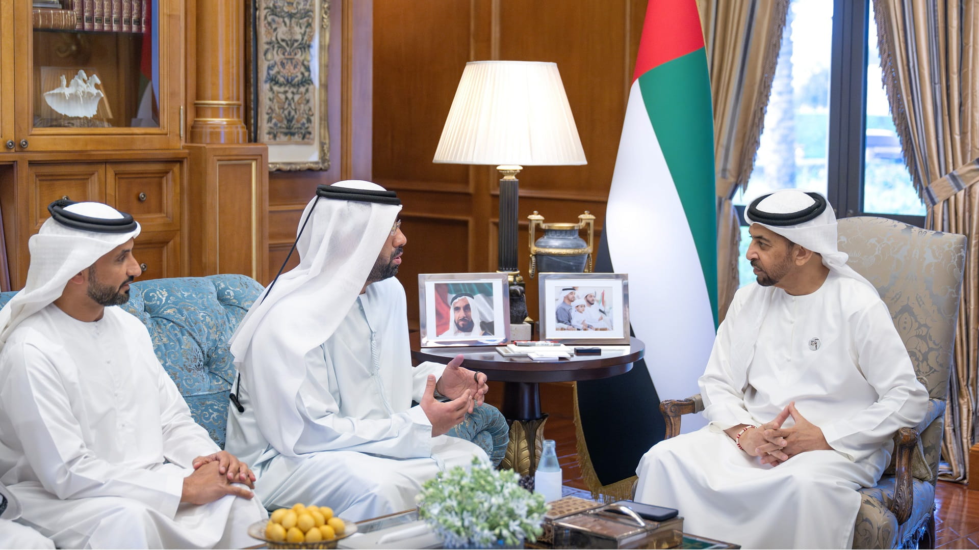 Hamdan bin Zayed reviews energy projects in Al Dhafra Region