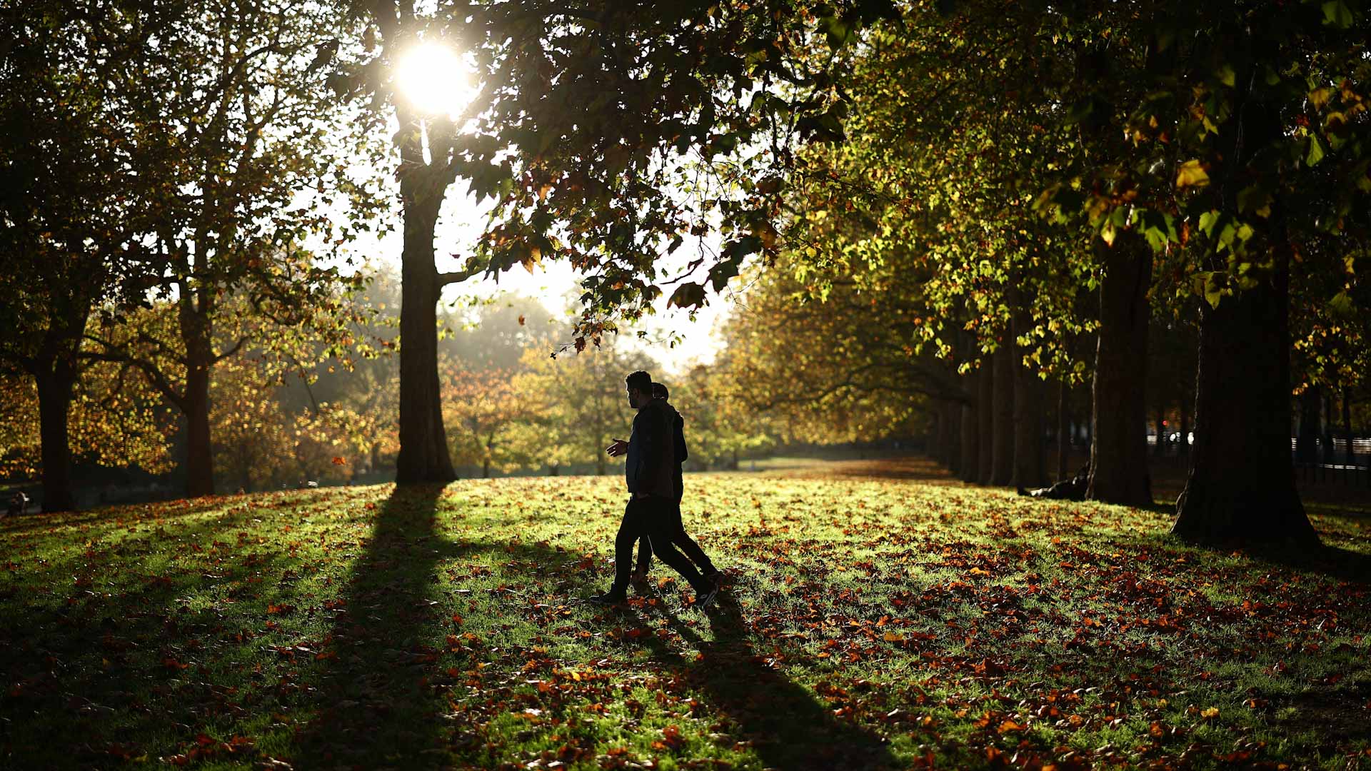 دراسة: ضوء الشمس يسرّع استجابة المناعة ويقوي دفاعات الجسم 