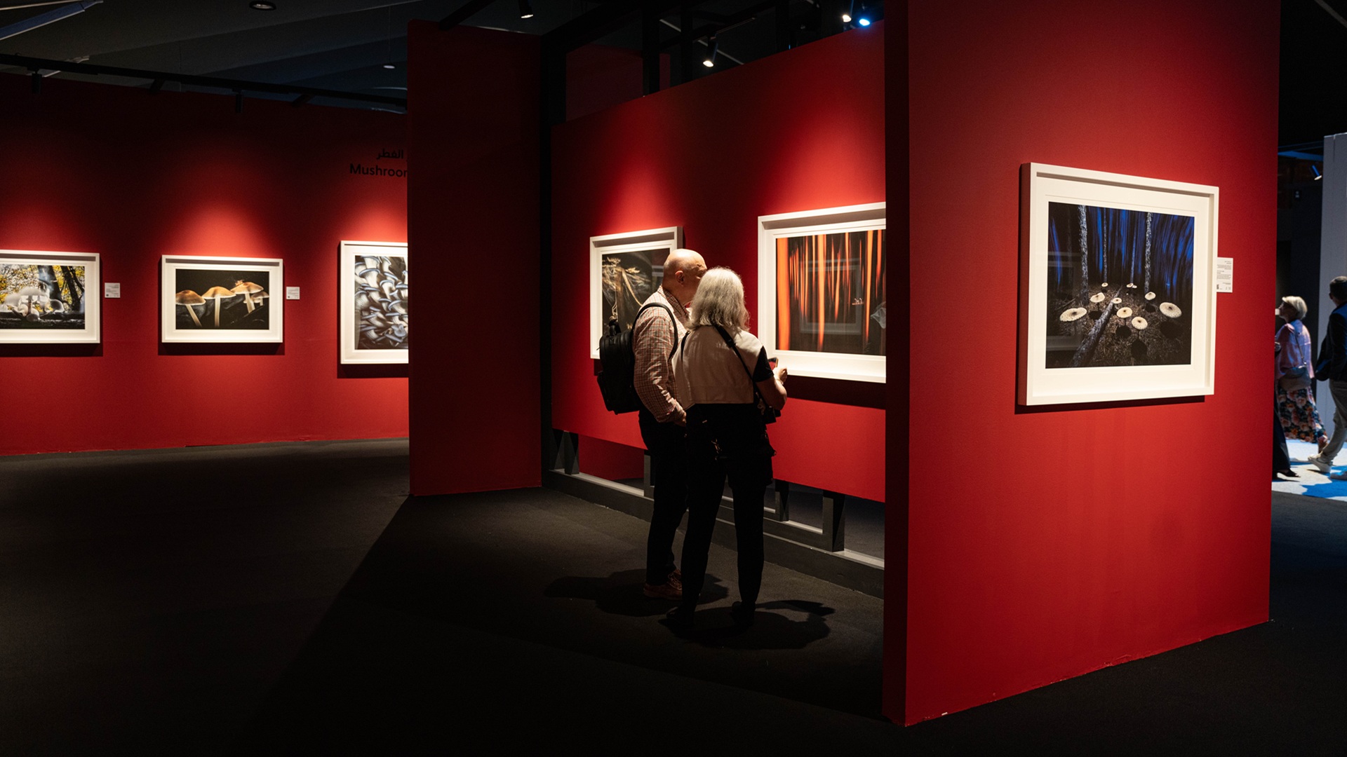 Xposure Awards 2026 attract 29,000 photography, 634 film entries 