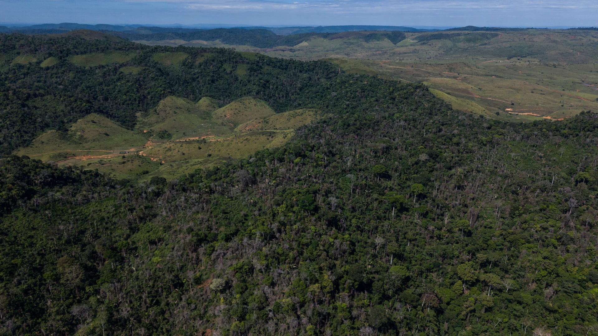 Brazil sees sharpest drop in emissions in 15 years 