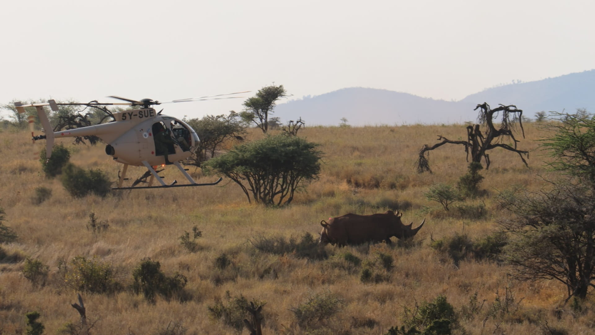 سفاري الشارقة