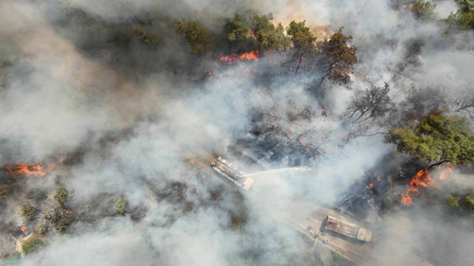 إجلاء عشرات العائلات بسبب حرائق غابات واسعة قرب تيبازة بالجزائر 