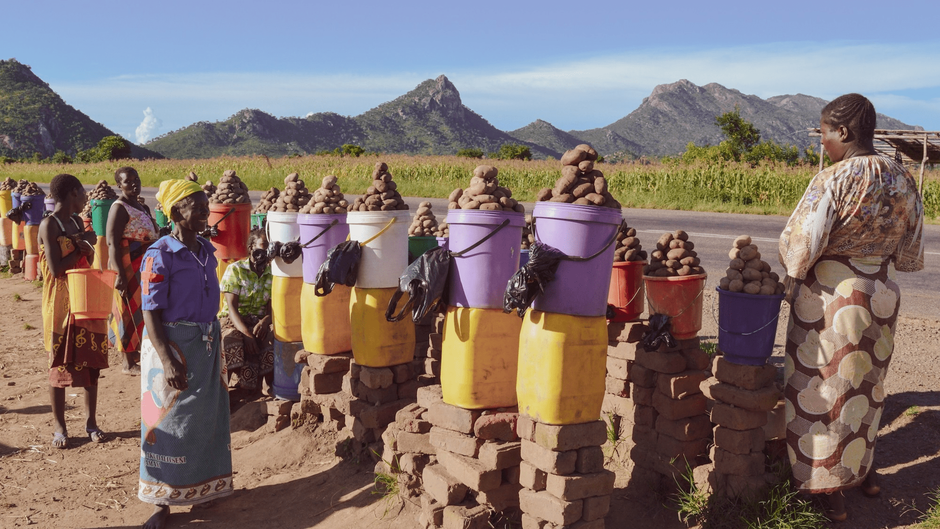 Image for the title: NAMA launches agribusiness project for 900 women in Malawi 