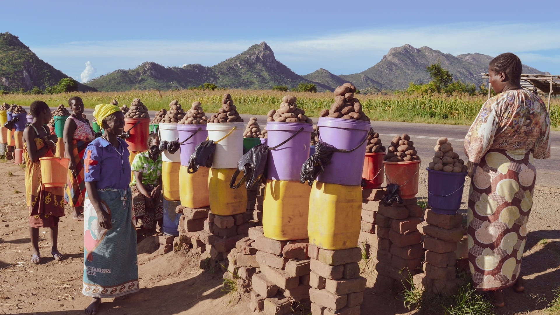 "نماء" تطلق مشروعاً لريادة الأعمال الزراعية لـ 900 امرأة في ملاوي 