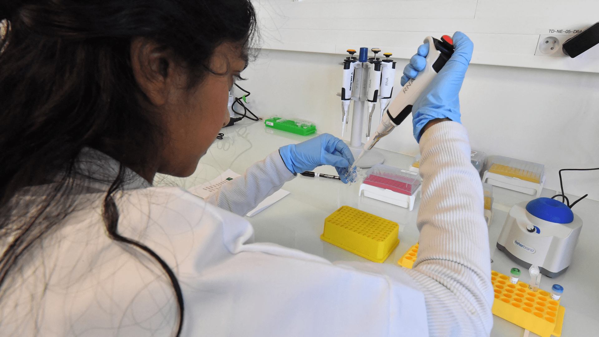 French scientists explore mRNA breakthrough for pancreatic cancer