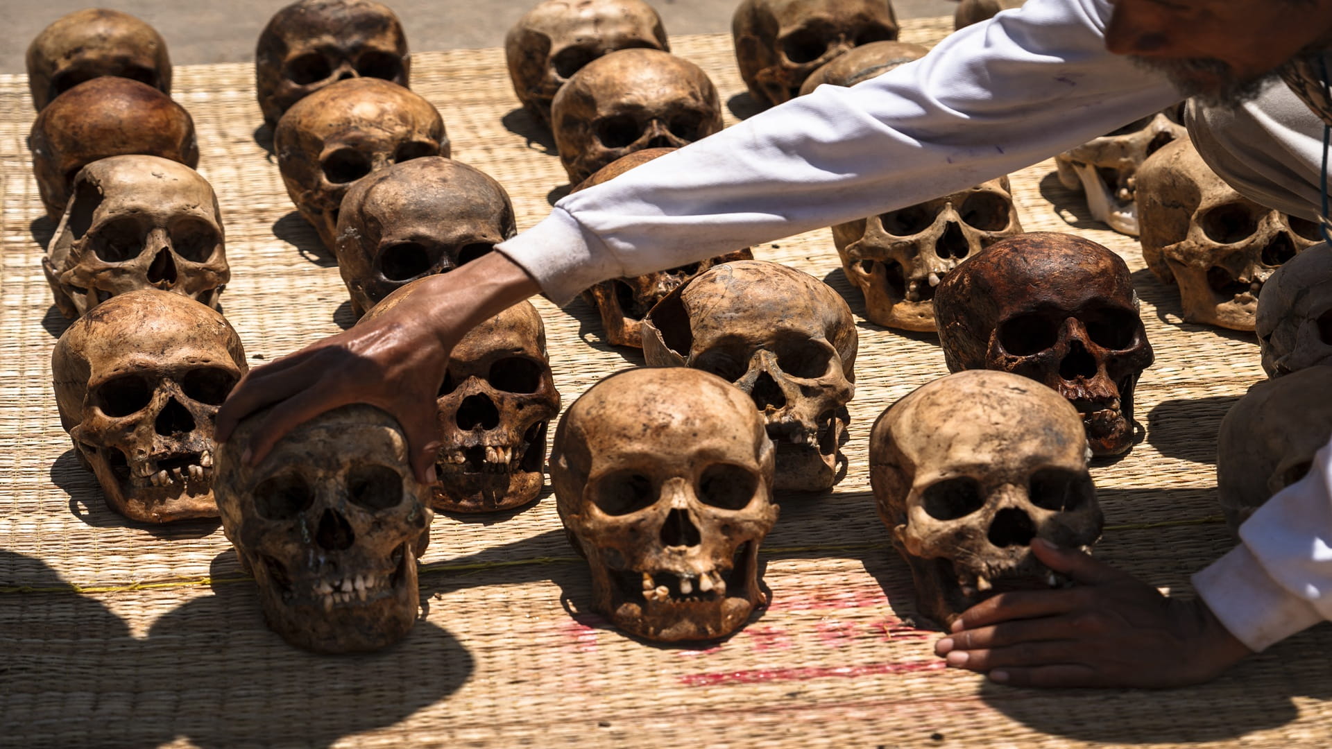 Million-year-old skull challenges human evolution timeline 