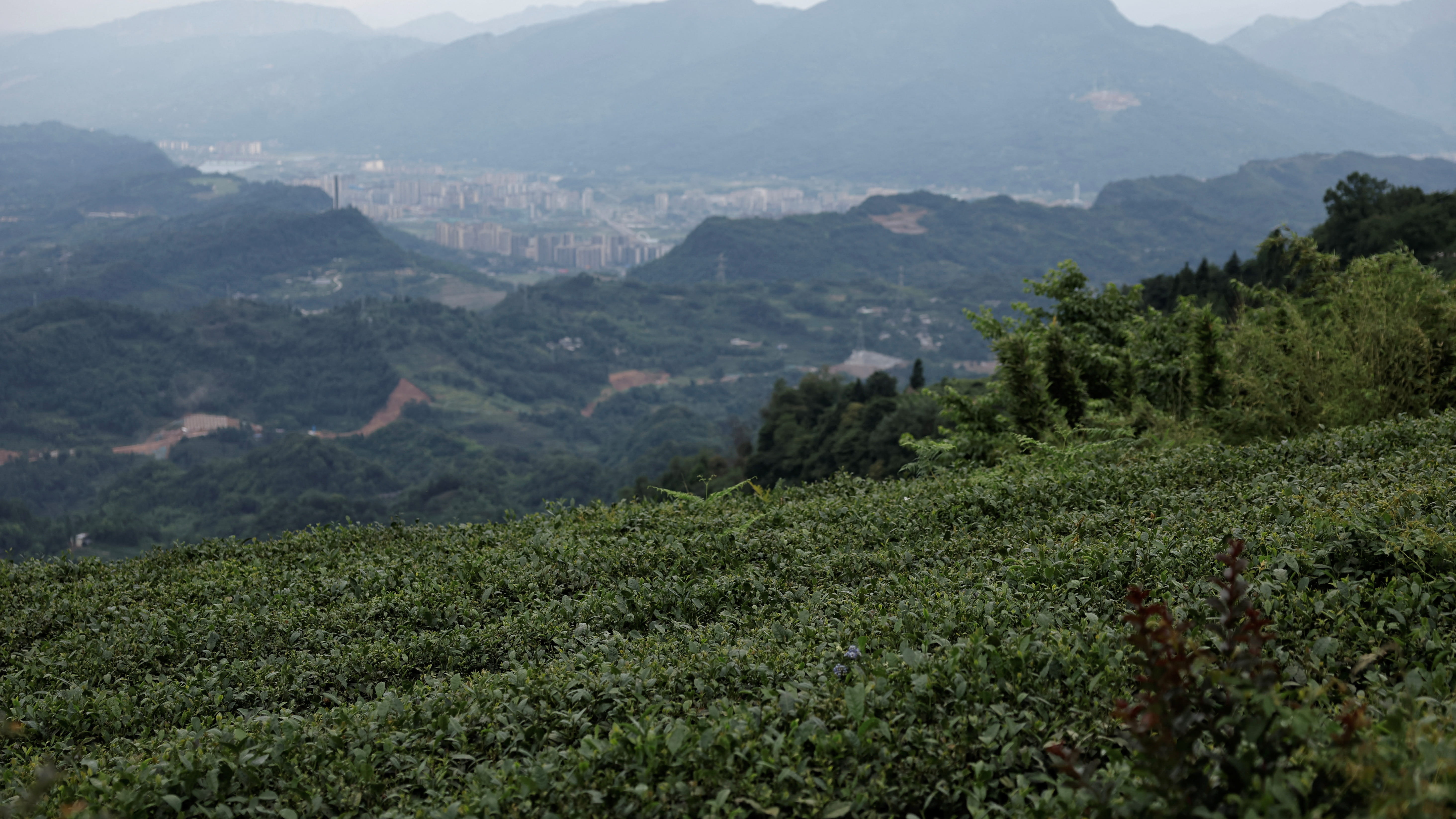 دون أضرار.. زلزال بقوة 5.5 درجة يهز منطقة سيتشوان الصينية 