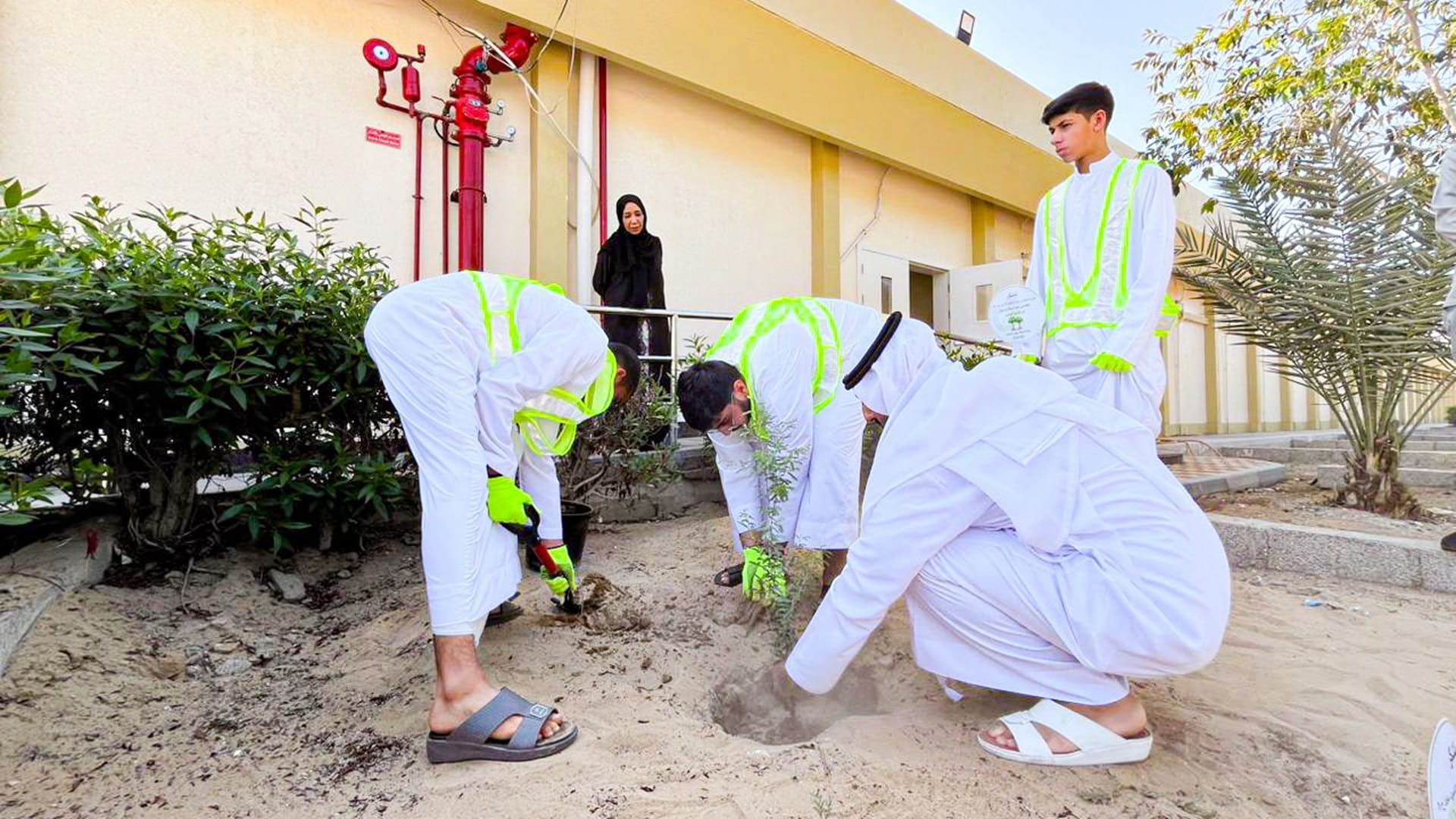 مجلس ضاحية واسط يعزز الوعي البيئي بإطلاق مبادرة واسط الخضراء 
