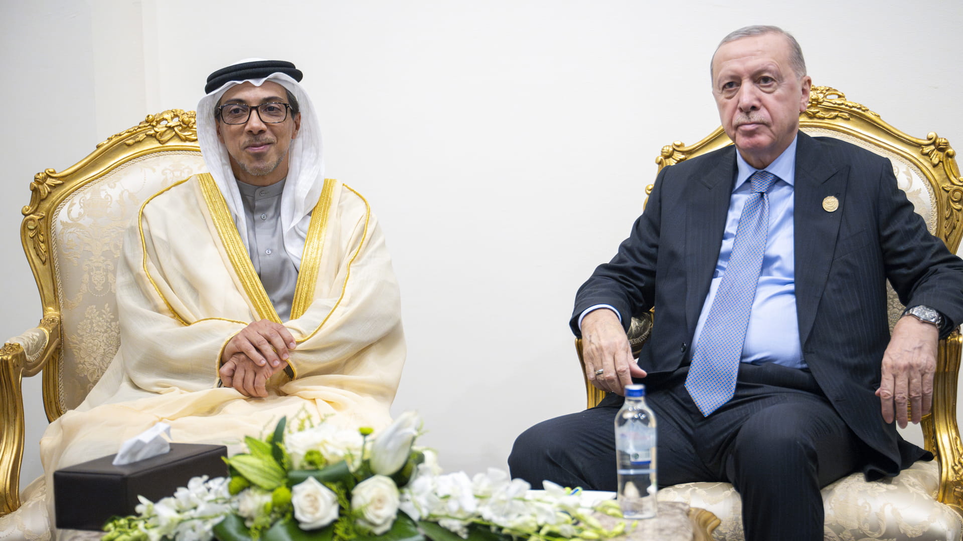 Mansour bin Zayed discusses bilateral ties with Türkiye and Iraq