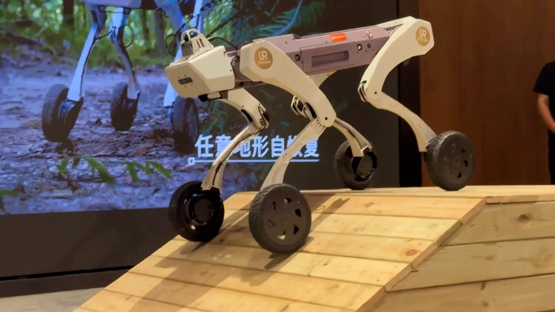 هونغ كونغ الإدارية تكشف النقاب عن روبوتات معززة بالذكاء الاصطناعي 