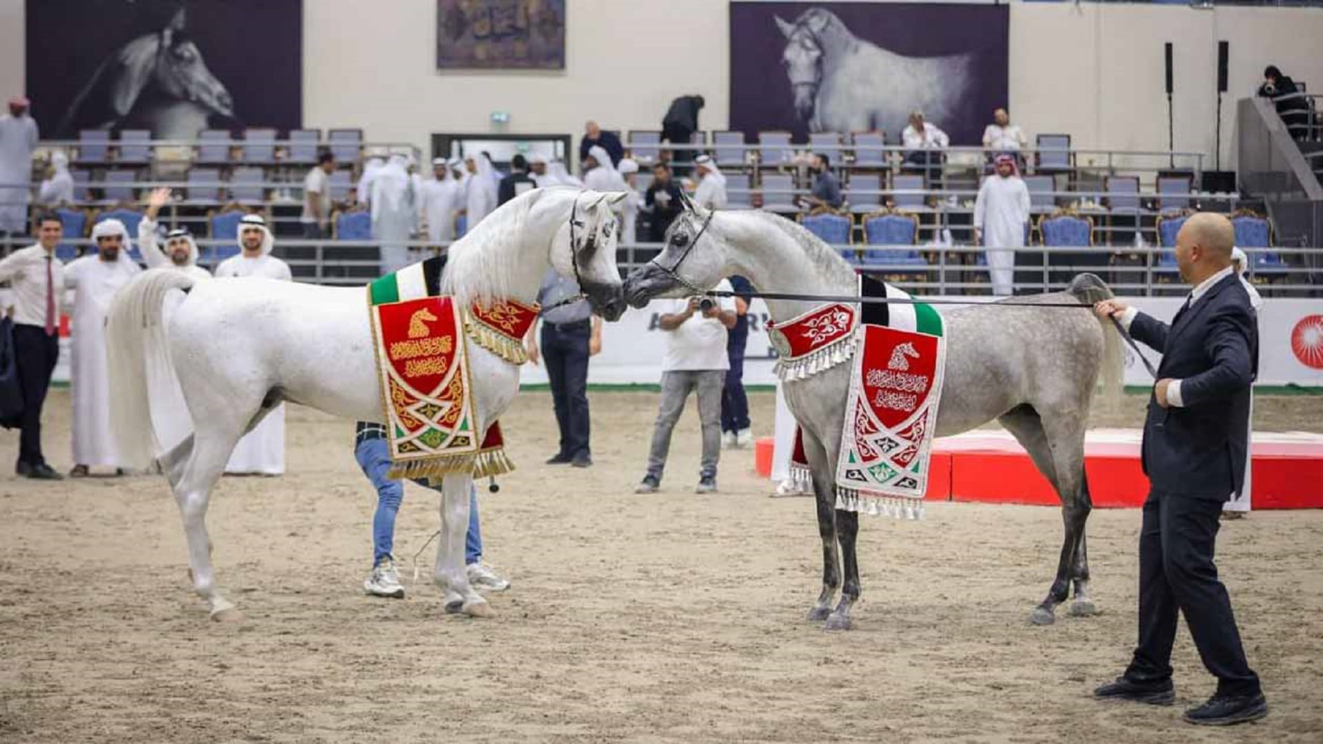 SERC organises 22nd Sharjah Arabian Horse Festival 