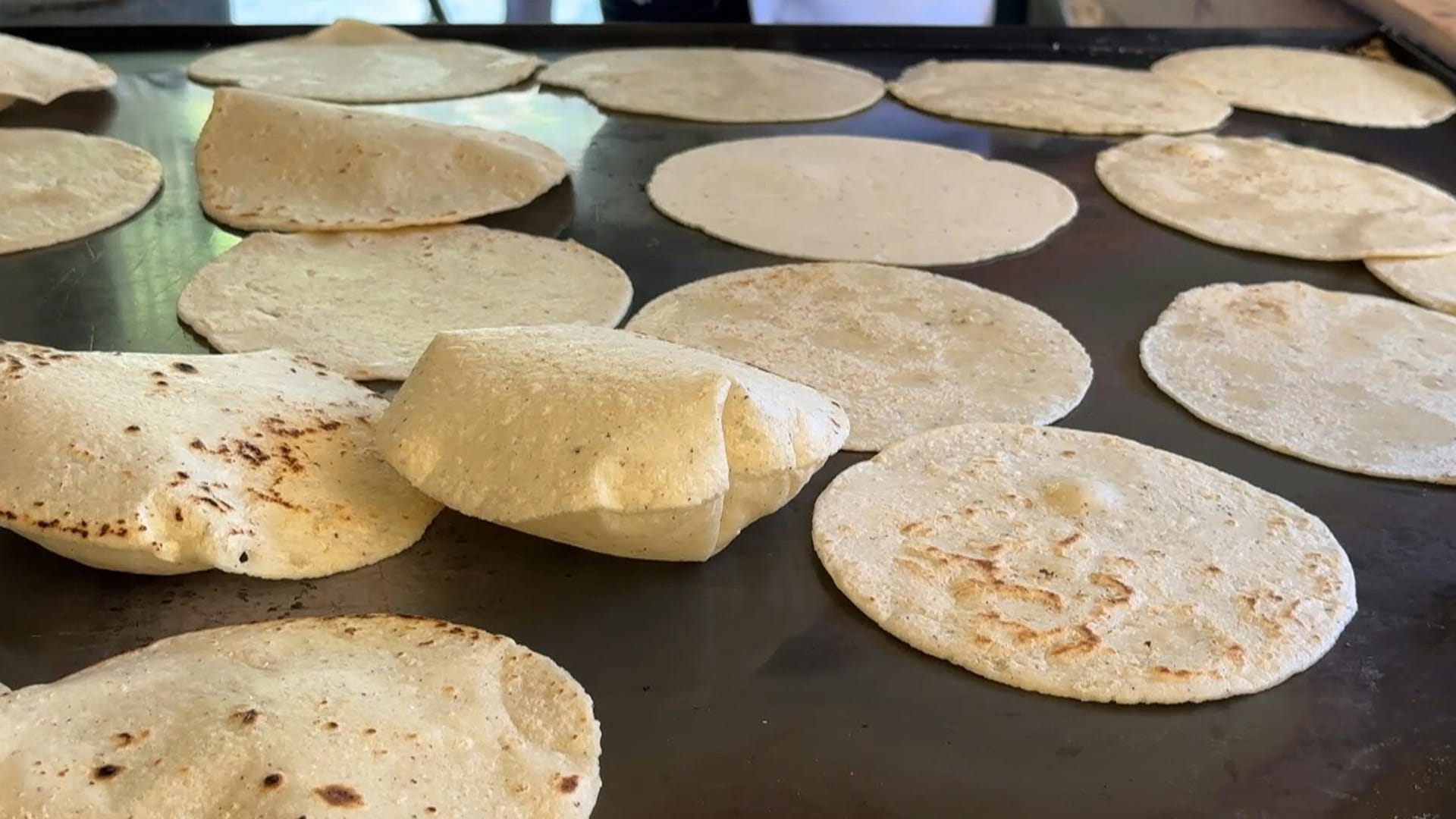 الفيضانات تسهم في خفض التورتيلا غذاء المكسيكيين ونقص إمدادات الذرة