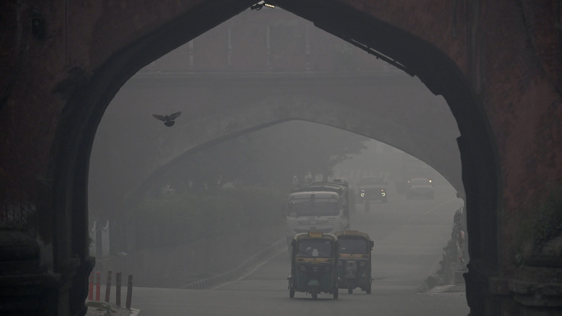 Fireworks send Delhi air pollution 56 times above safe limit 