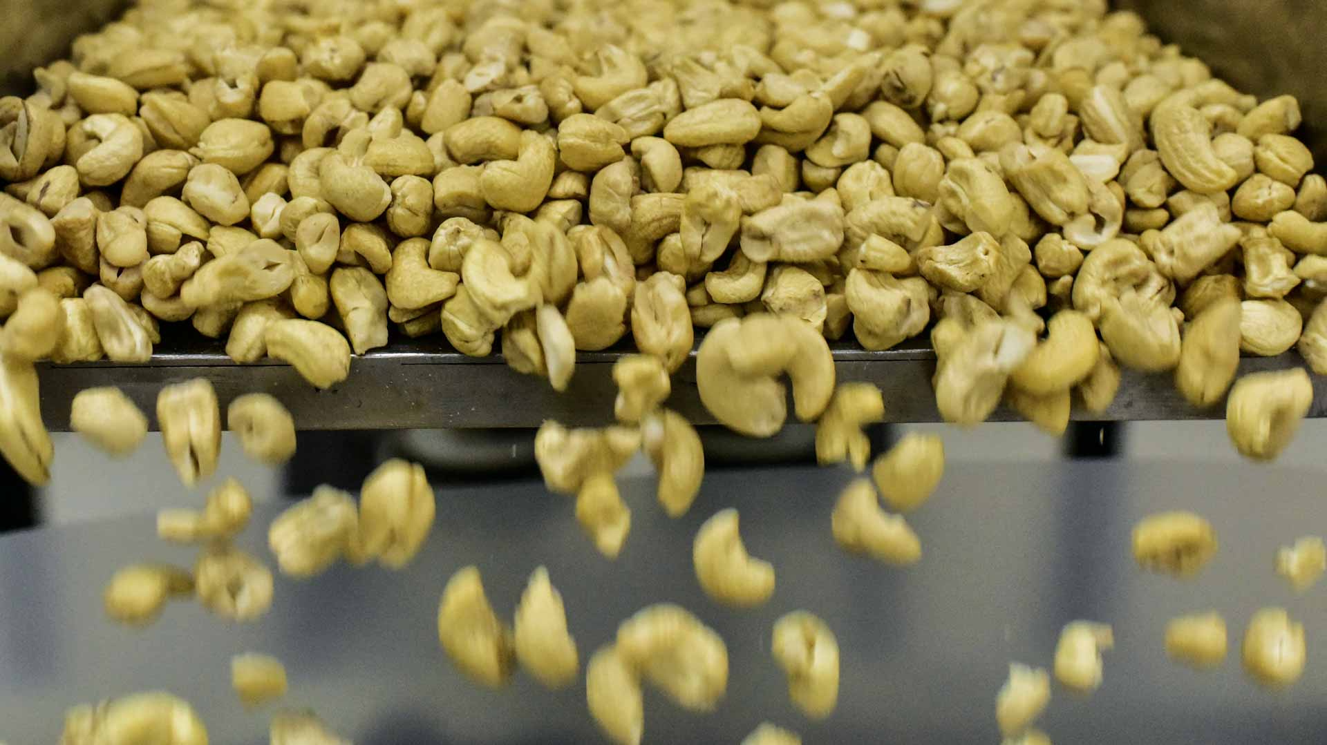 دراسة تكشف: سرّ تحسين صحة المراهقين يبدأ بحفنة كاجو 