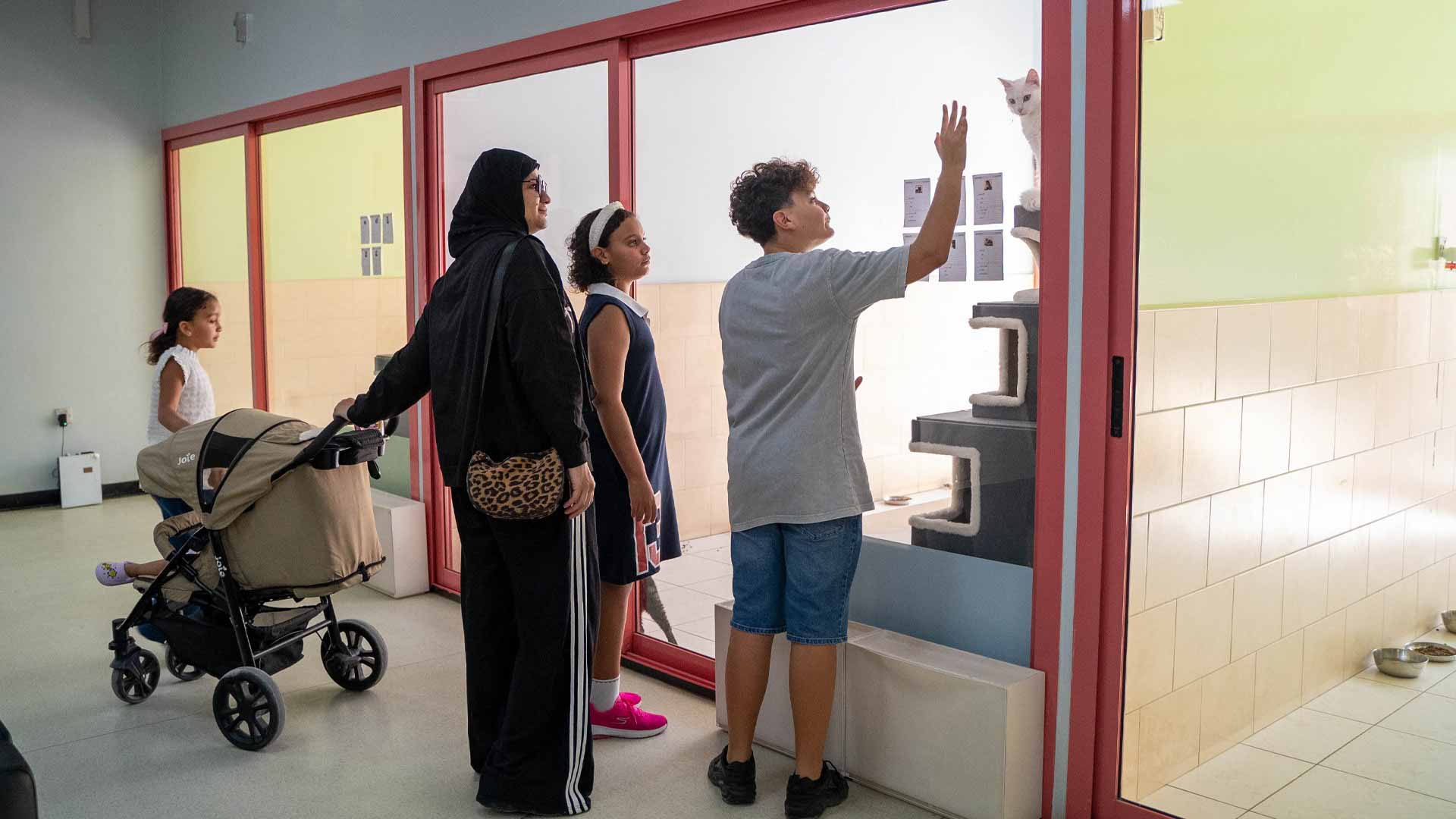 مأوى الشارقة للقطط والكلاب ينظم فعالية تبنّي الحيوانات 