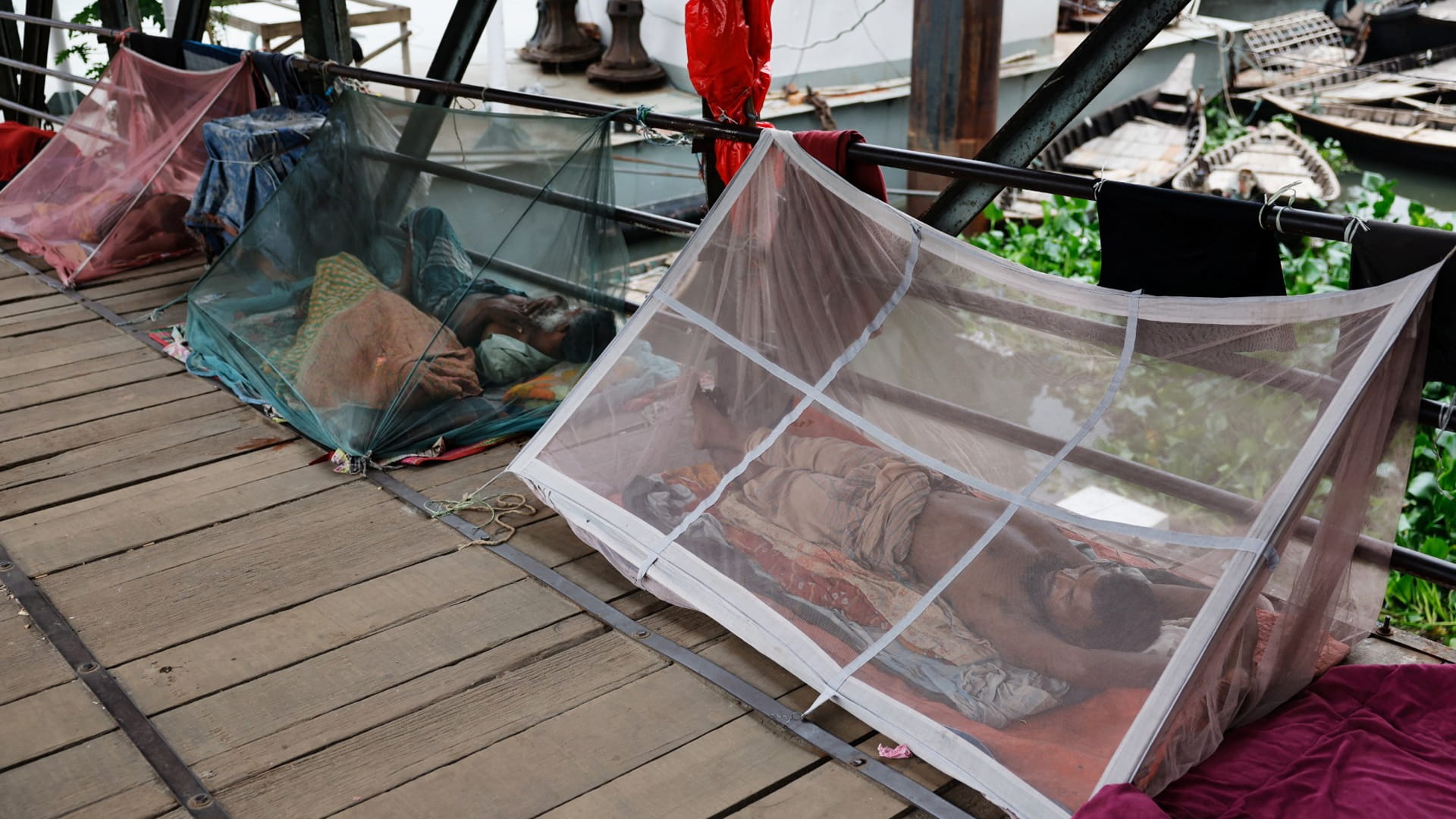 خشية التفشي.. بنغلادش تكافح موجة متصاعدة من حمى الضنك وشيكونجونيا