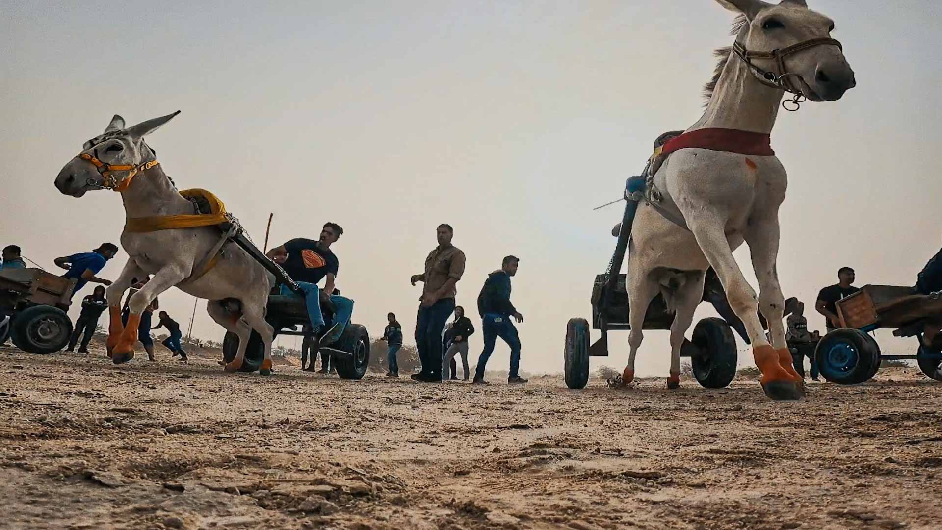 Image for the title: Sharjah Art Foundation showcases film platform montage at EAEFF 