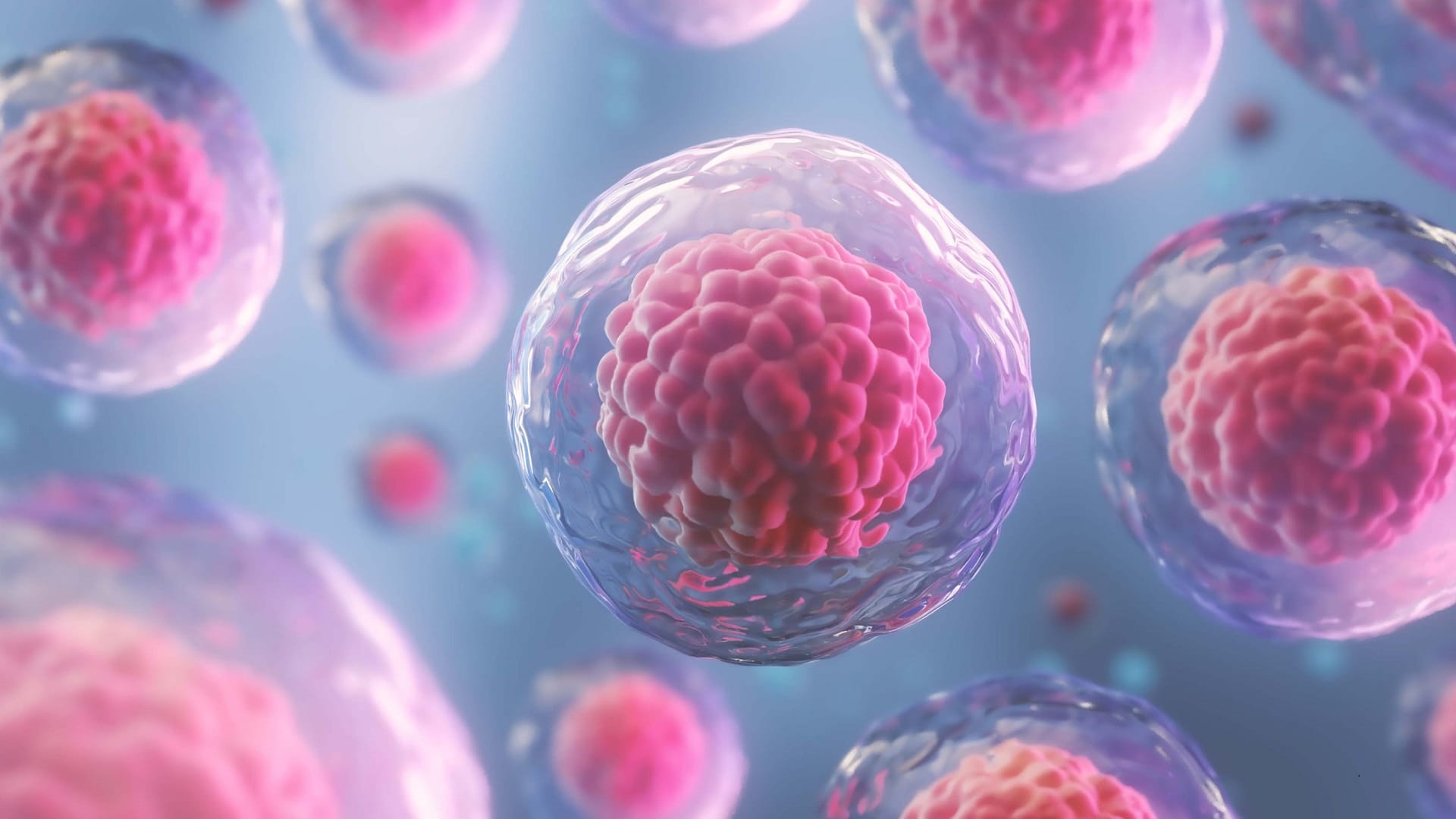 Spaceflight accelerates aging of human blood-forming stem cells