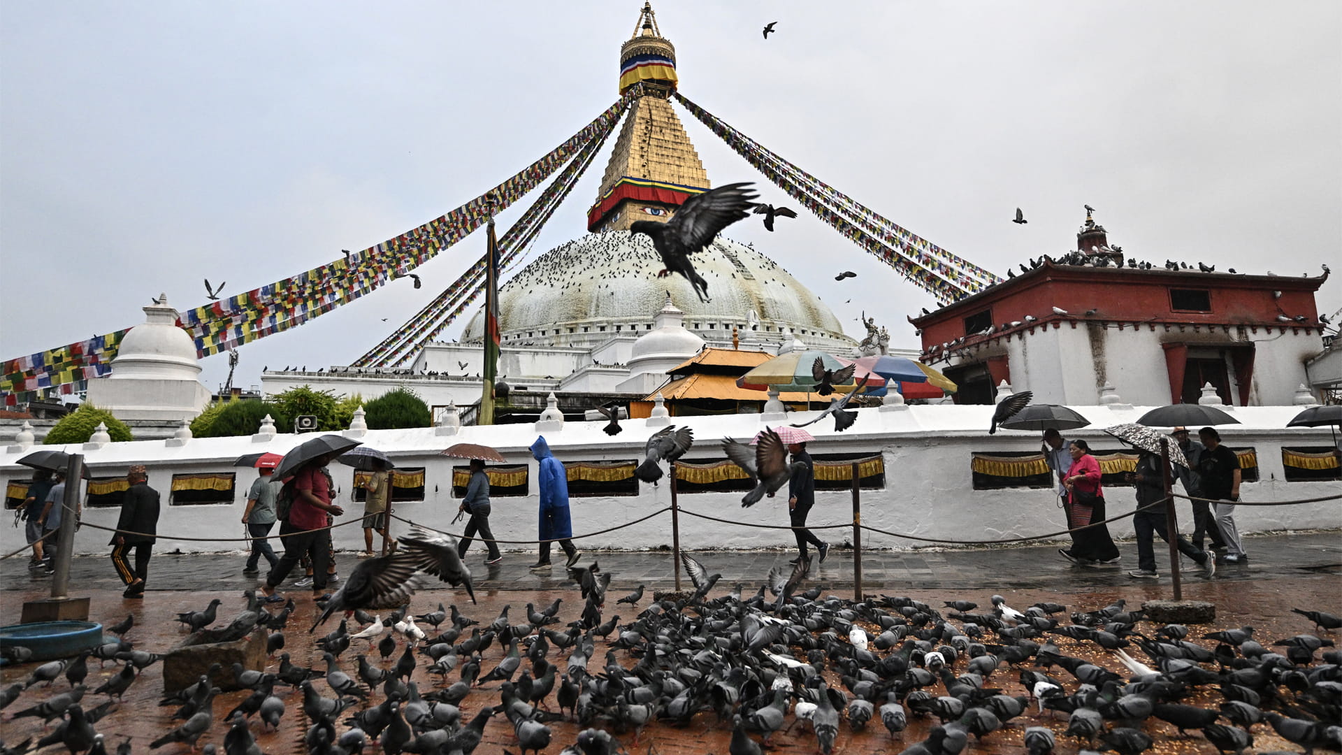 الحياة تعود إلى طبيعتها تدريجياً في النيبال