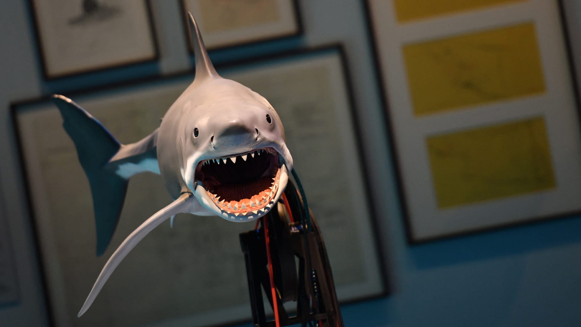 معرض في لوس أنجليس يستذكر فيلم "جوز" بعد 50 عاماً على صدوره 