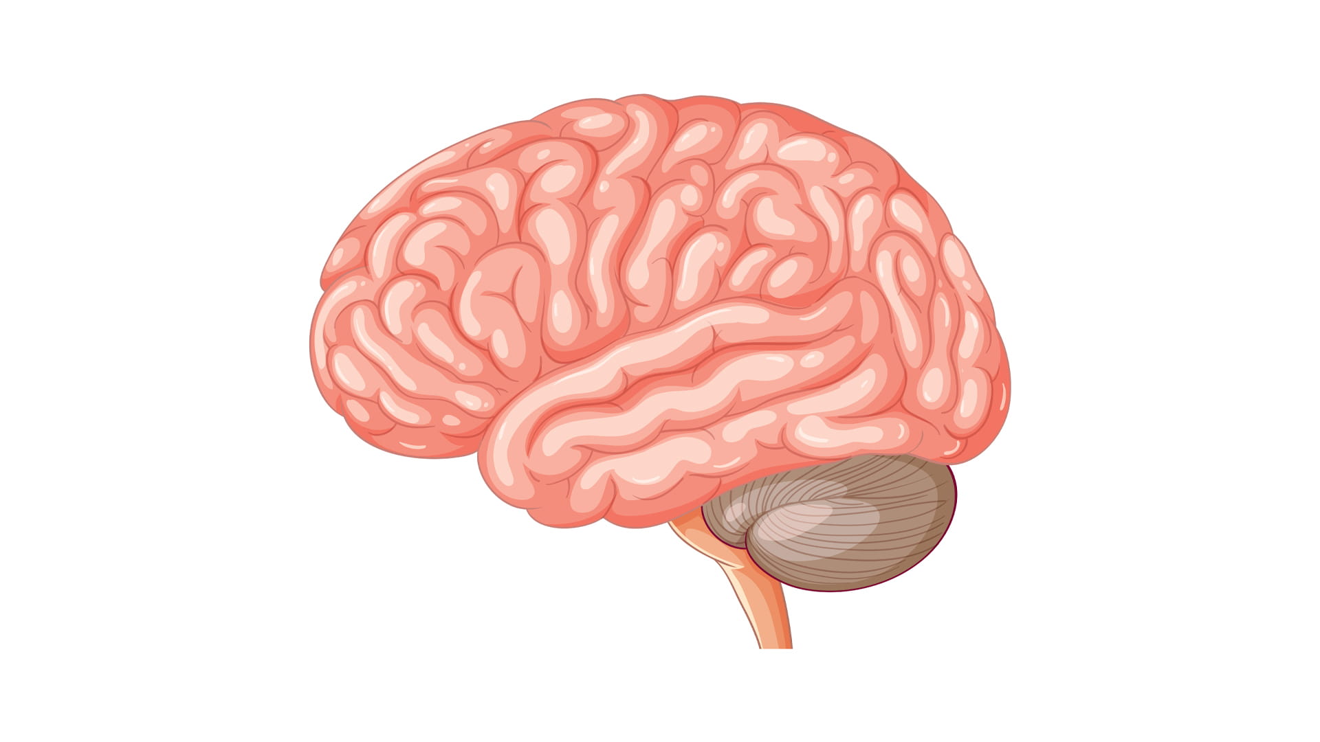في تحول طبي تاريخي.. دواء جديد يعالج الخرف ويؤخر الشيخوخة 10 سنوات 