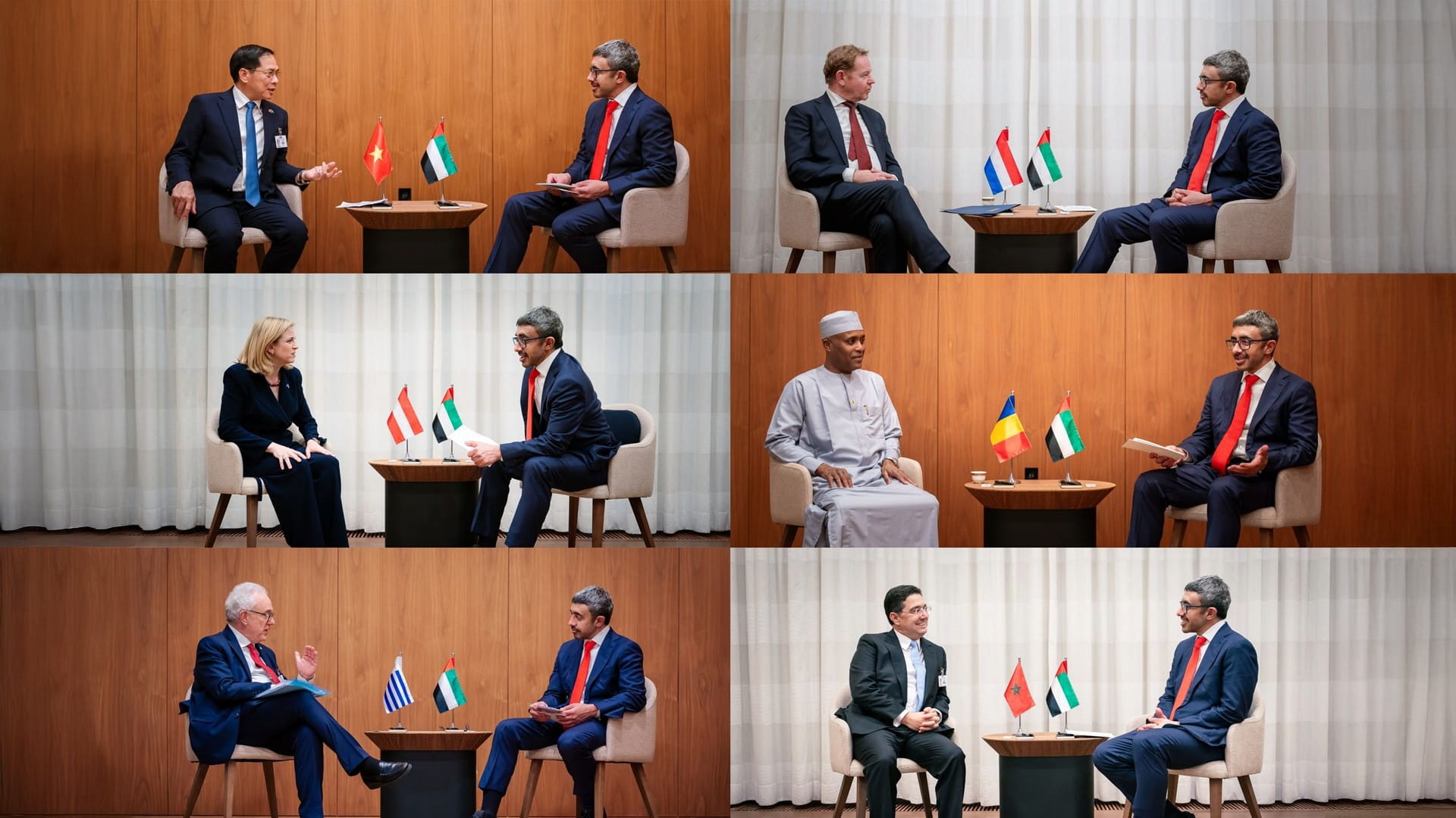Abdullah bin Zayed discusses cooperation with number of FMs 