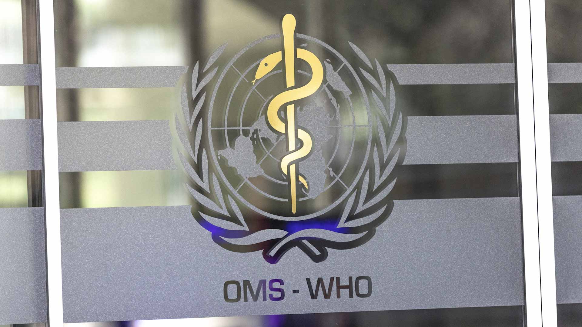 منظمة الصحة: لا علاقة بين التوحد وتناول الباراسيتامول أثناء الحمل