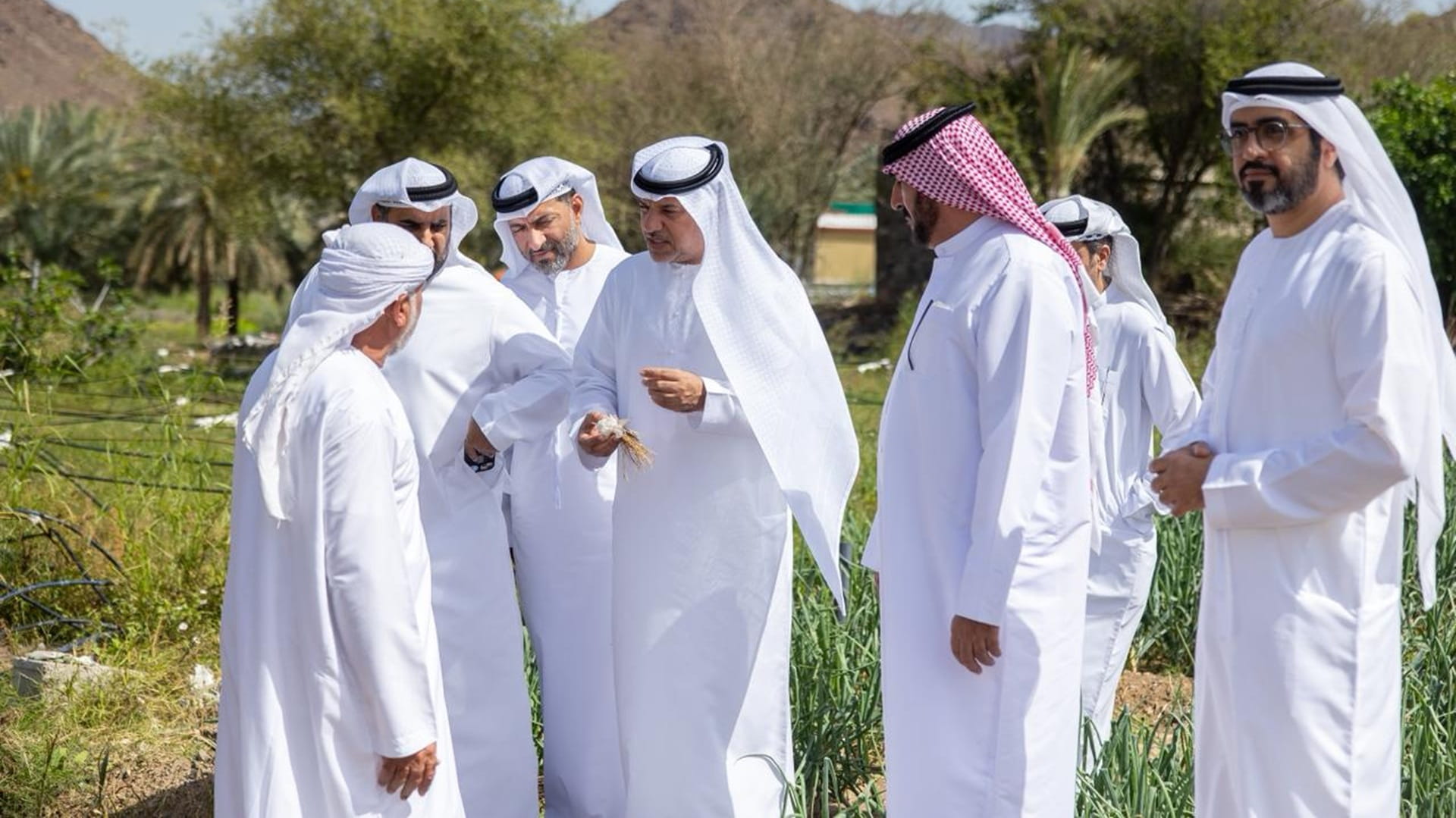 MOCCAE conducts field tour to support Emirati farmers 