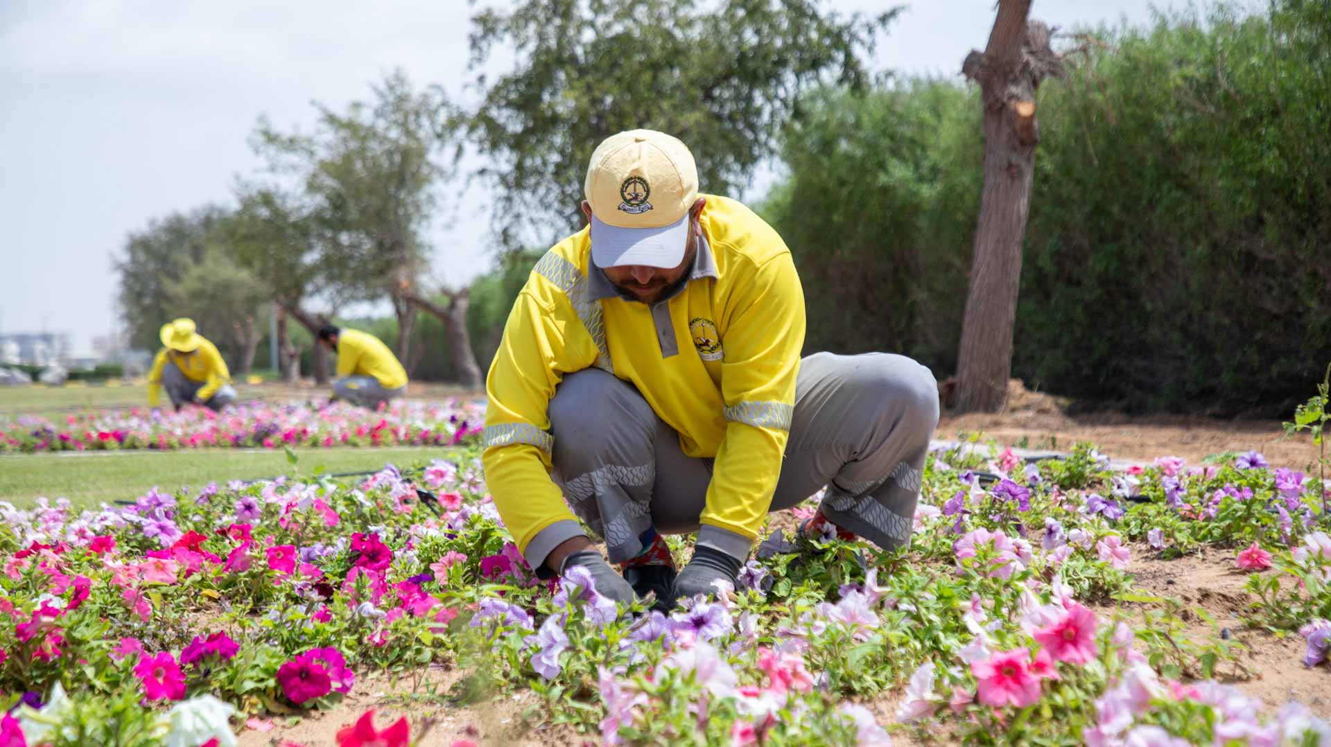 بلدية الحمرية تعالج آثار الحالة الجوية بمبادرة "أجمل مما كان"