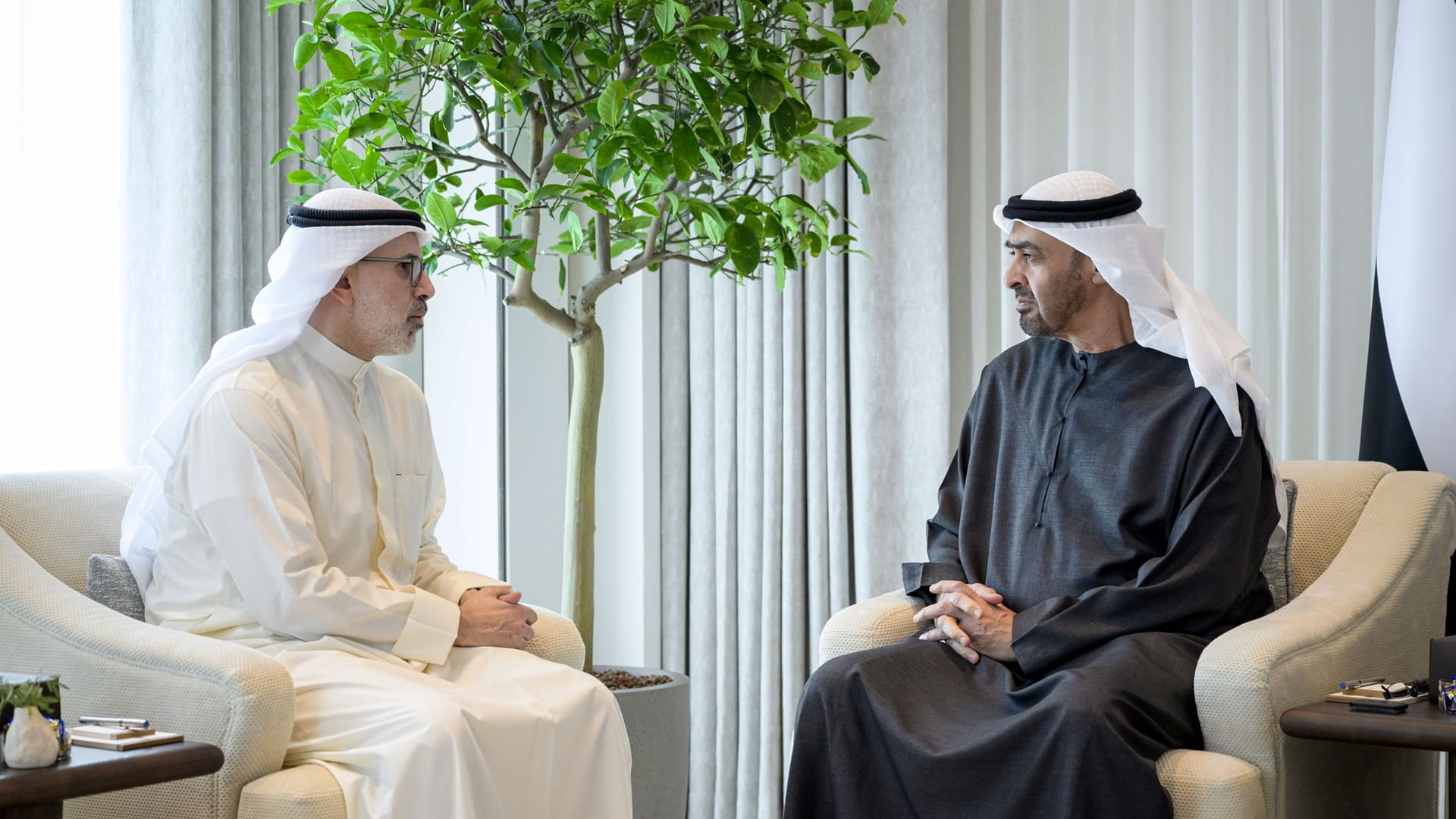 UAE President, Kuwaiti FM discuss bilateral ties