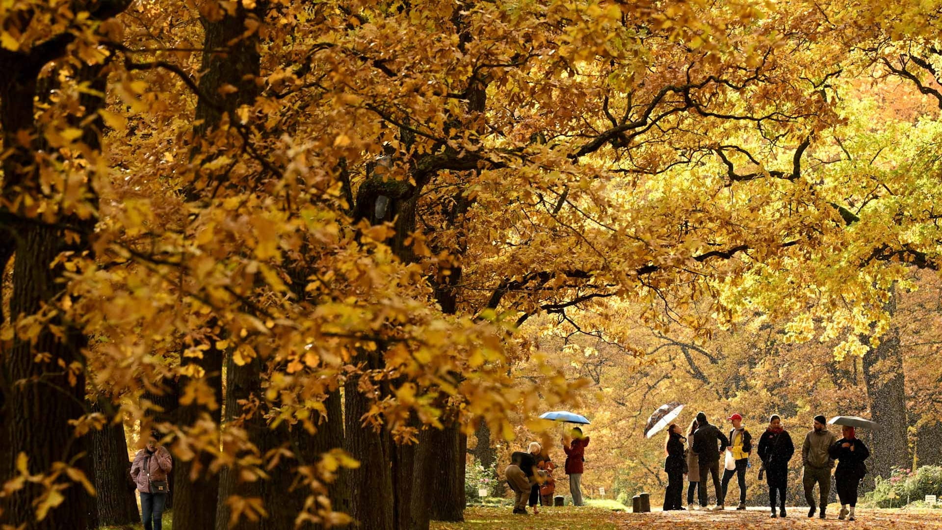 Study finds summer getting longer, faster than expected