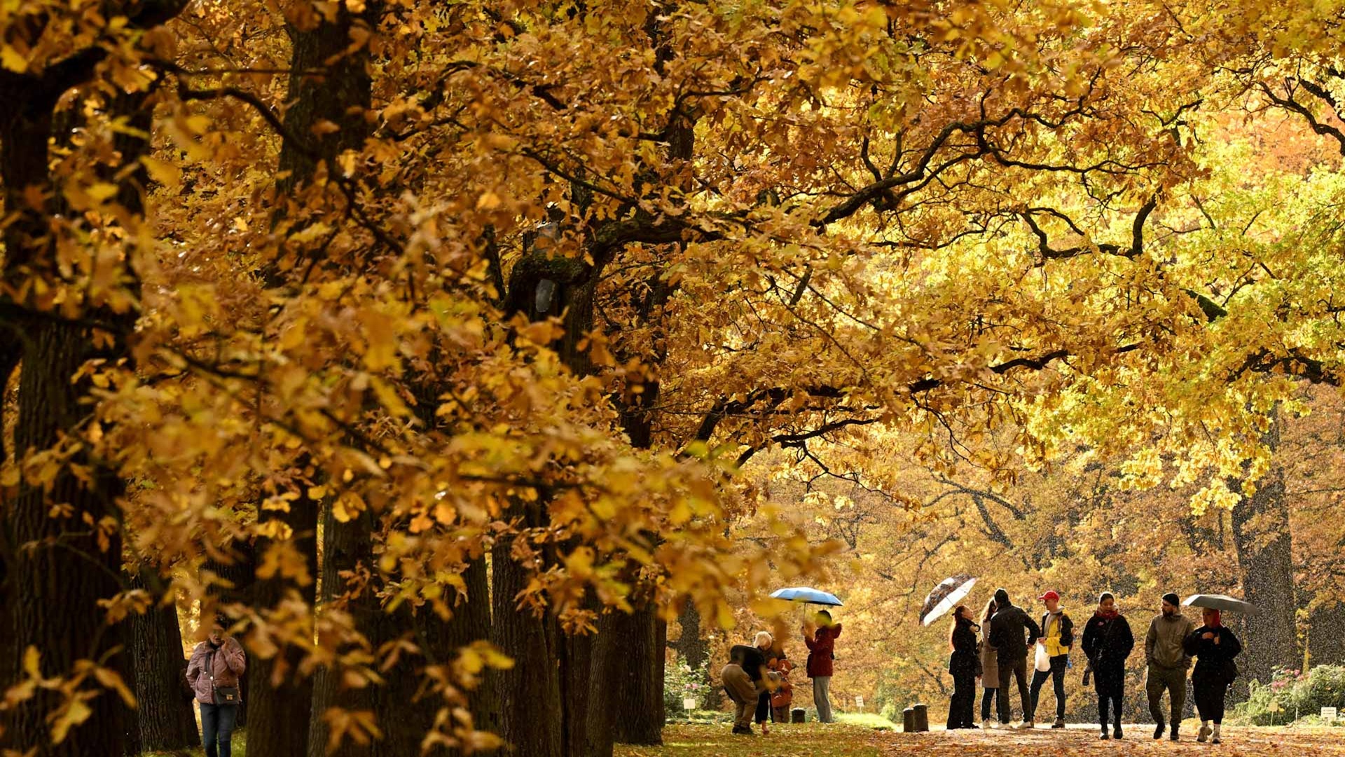 Study finds summer getting longer, faster than expected