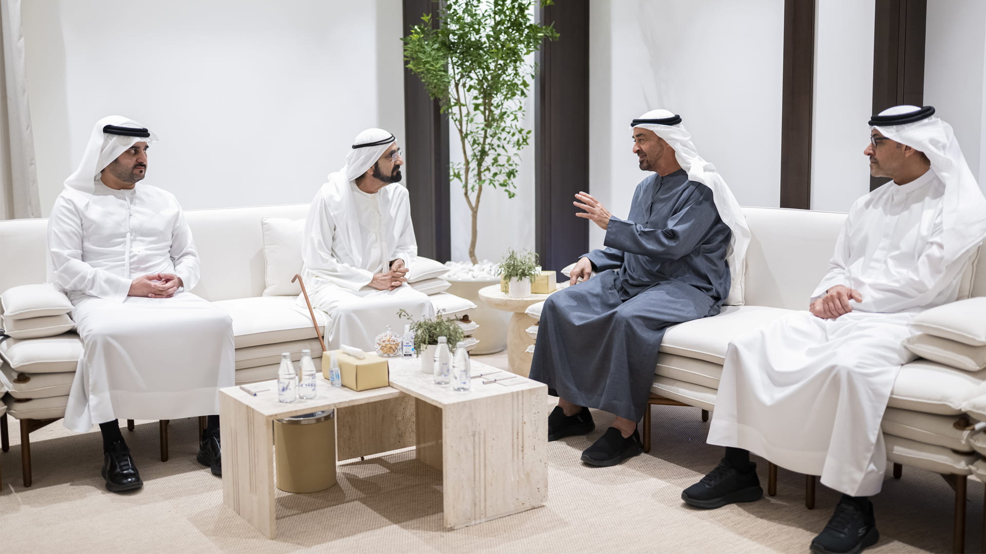 Image for the title: UAE leaders meet to review national security efforts 