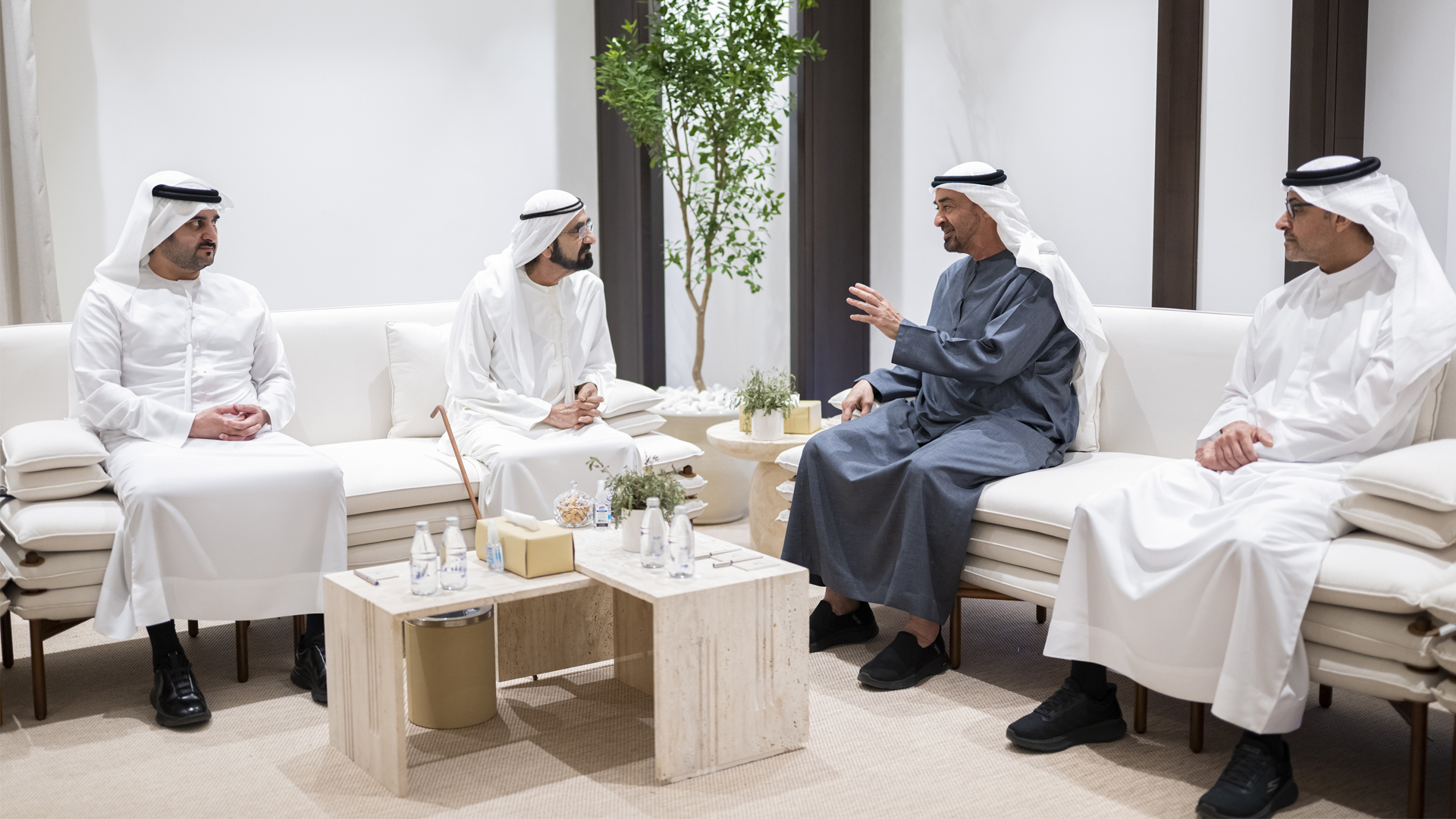 Image for the title: UAE leaders meet to review national security efforts 
