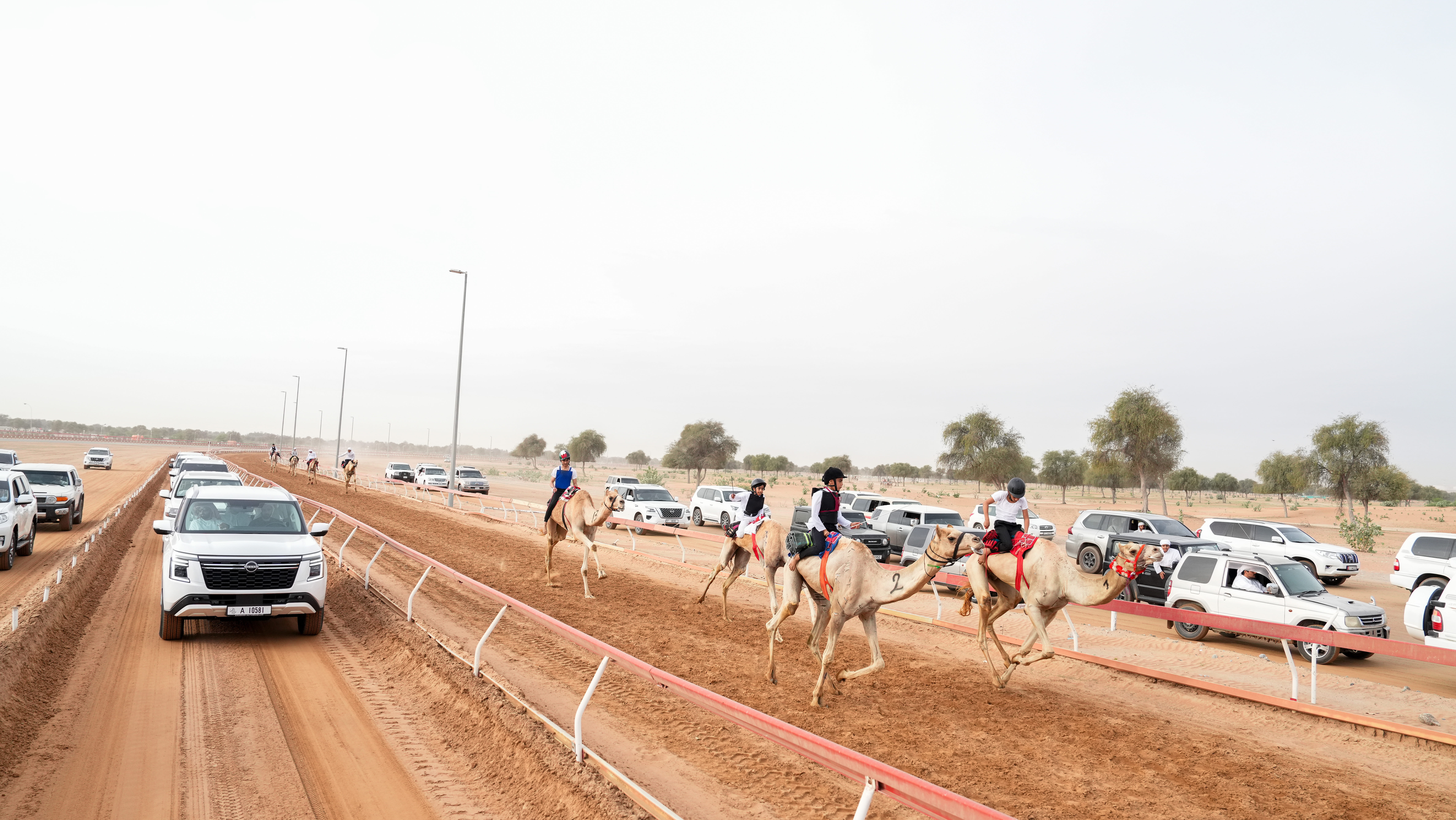 محمد بن سعود يشهد أشواط شارة الفطامين في ميدان السوان برأس الخيمة 