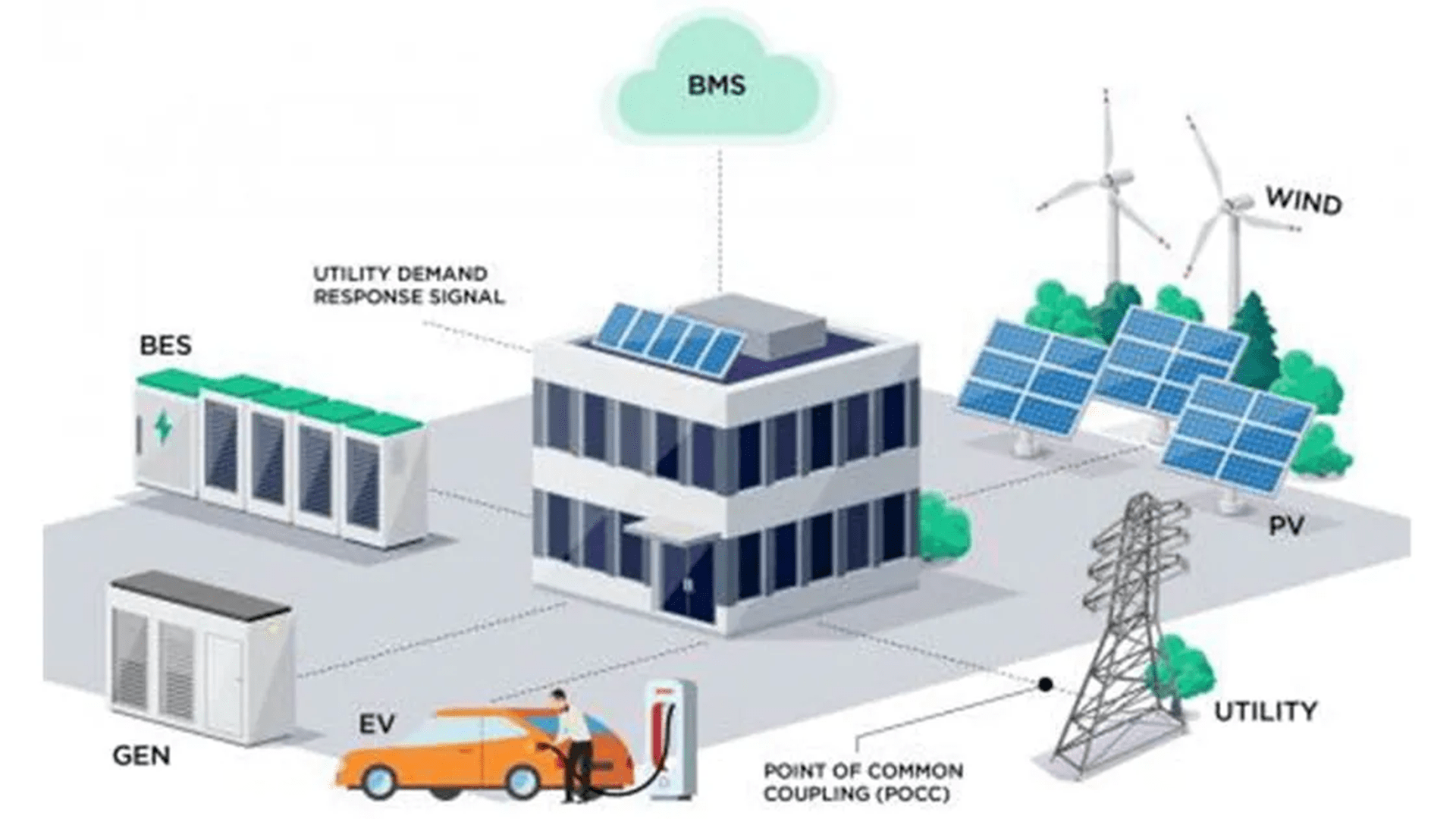 UAE launches pioneering microgrid energy project