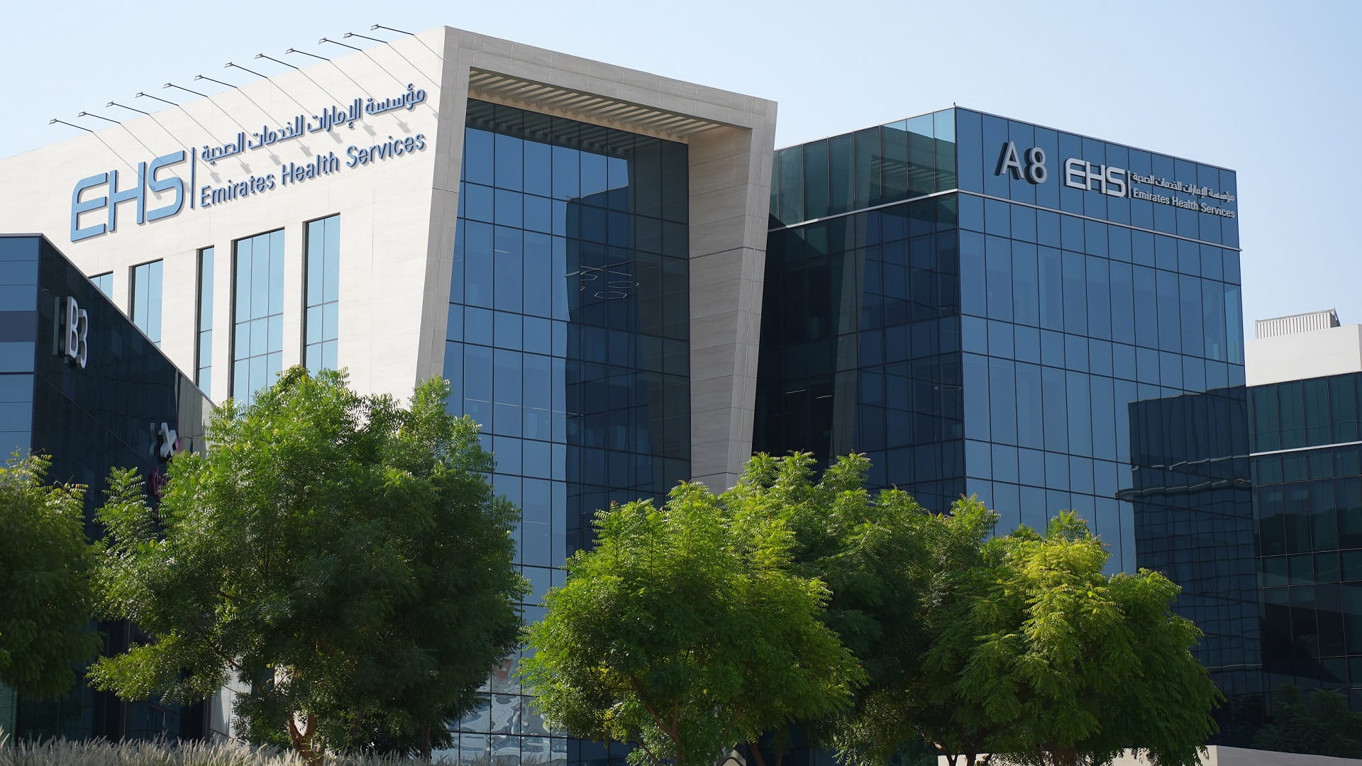 Emirati doctor wins WHO Down syndrome research award