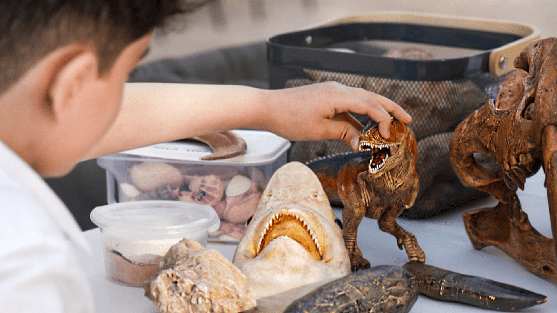 Mleiha National Park unveils educational workshops for children 