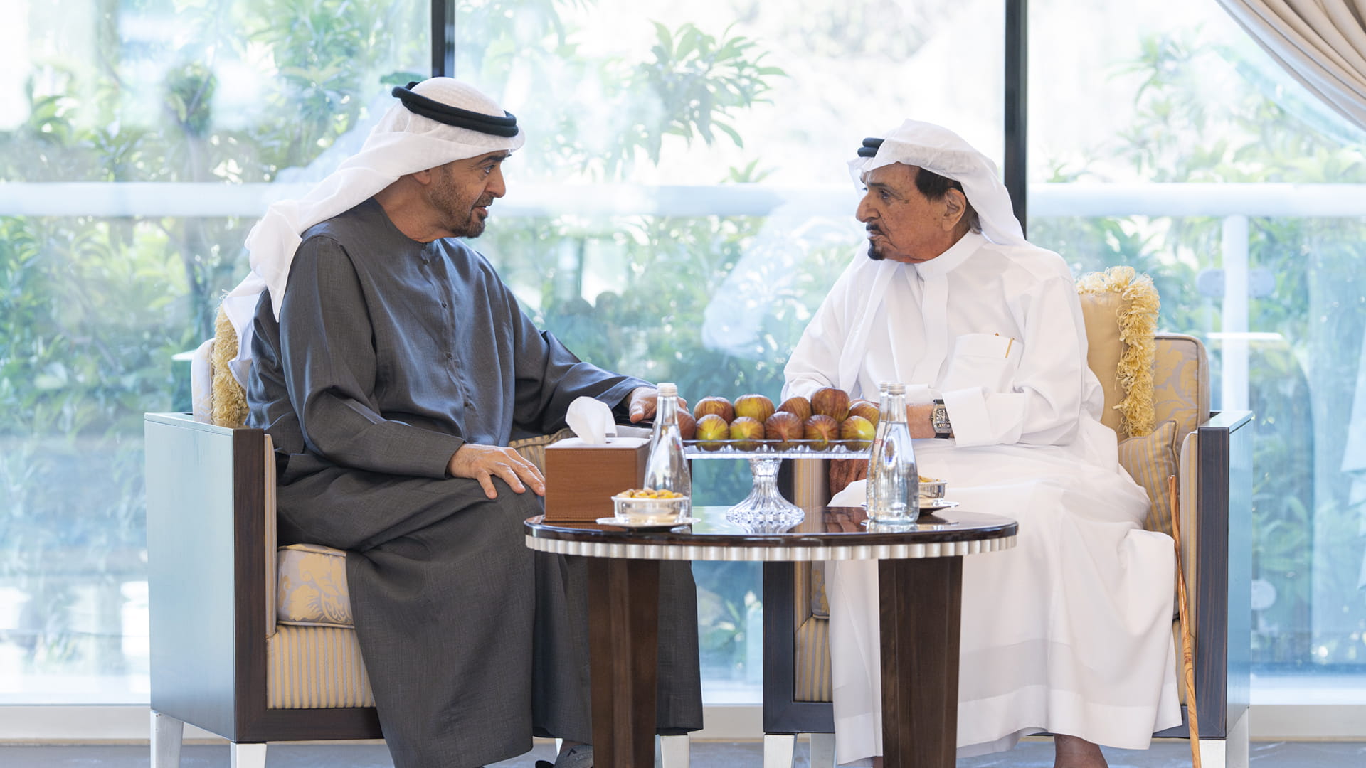 UAE President visits Ruler of Ajman 