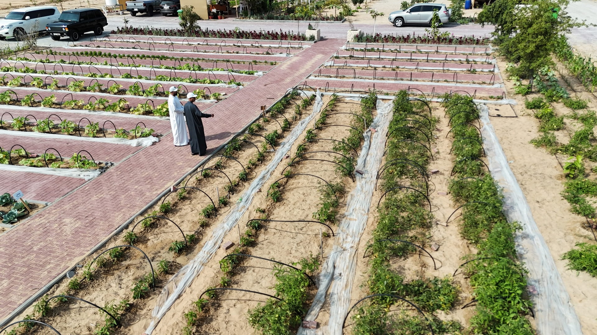 Al Hamriyah Municipality launches model community farm