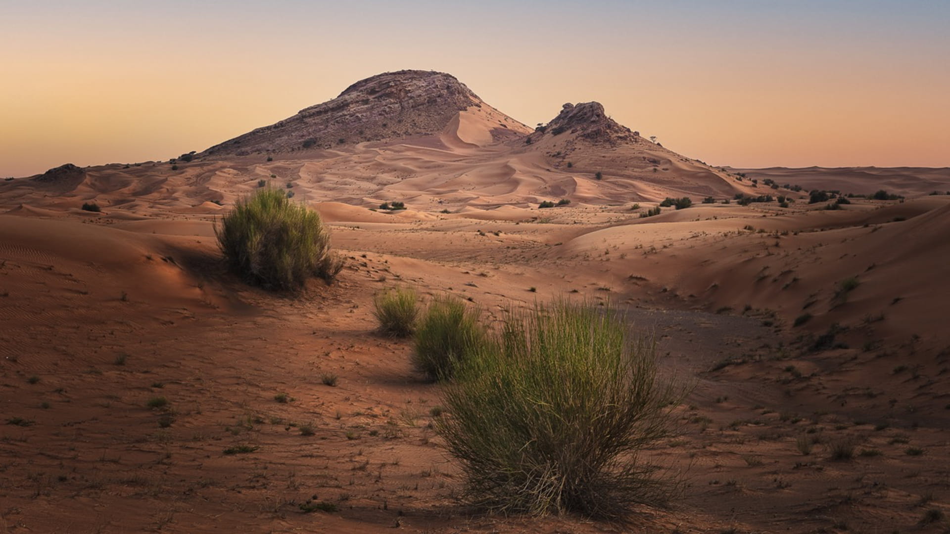 Al Faya prehistoric cultural landscape shapes human history