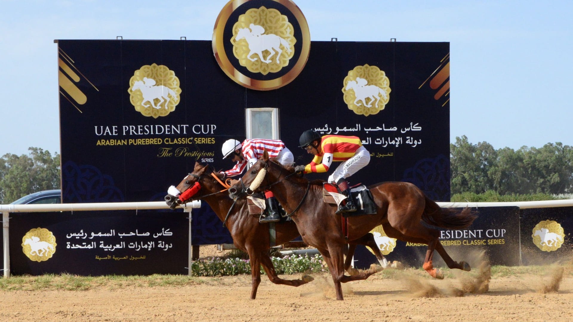 UAE President’s Cup for Purebred Arabian Horses opens in Tunisia 
