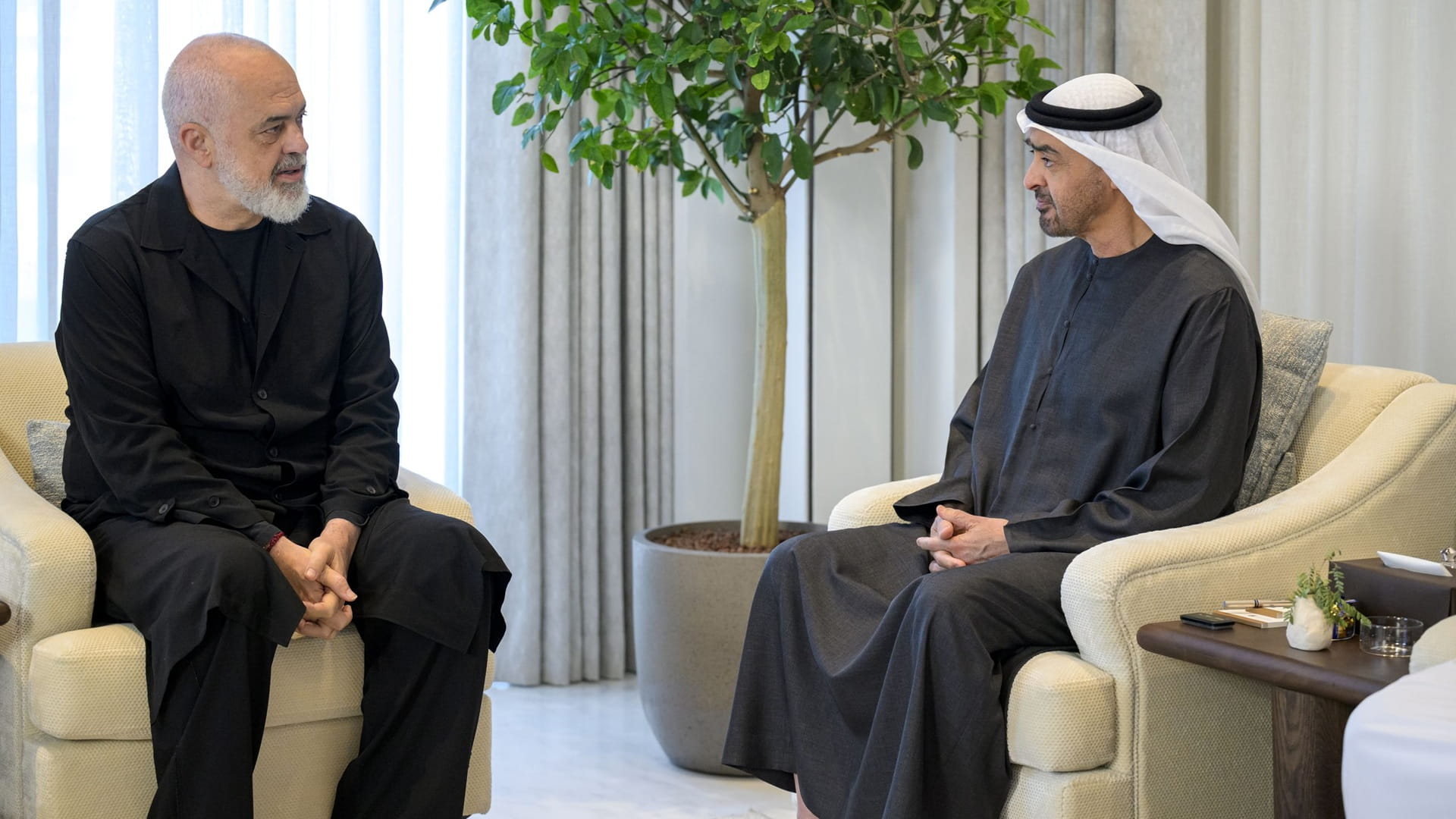 UAE and Albania discuss stronger ties and regional stability