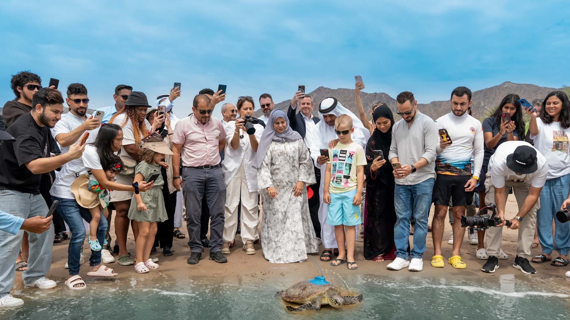 Fujairah releases rehabilitated sea turtles into natural habitat