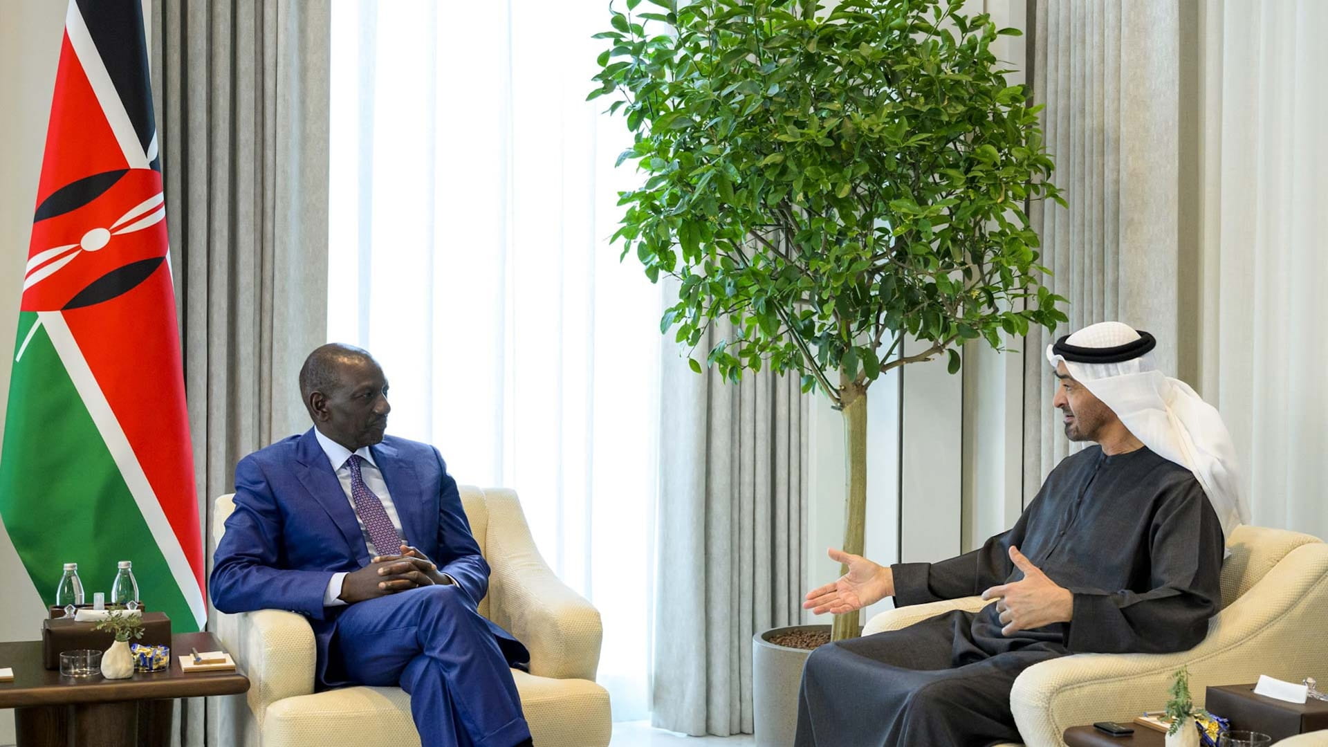 UAE, Kenya discuss CEPA cooperation, regional developments