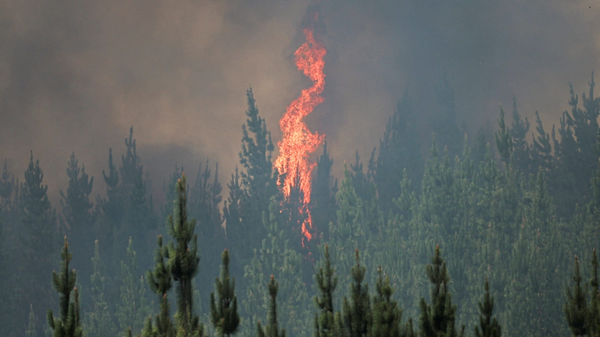 Wildfire smoke linked to higher cancer risk