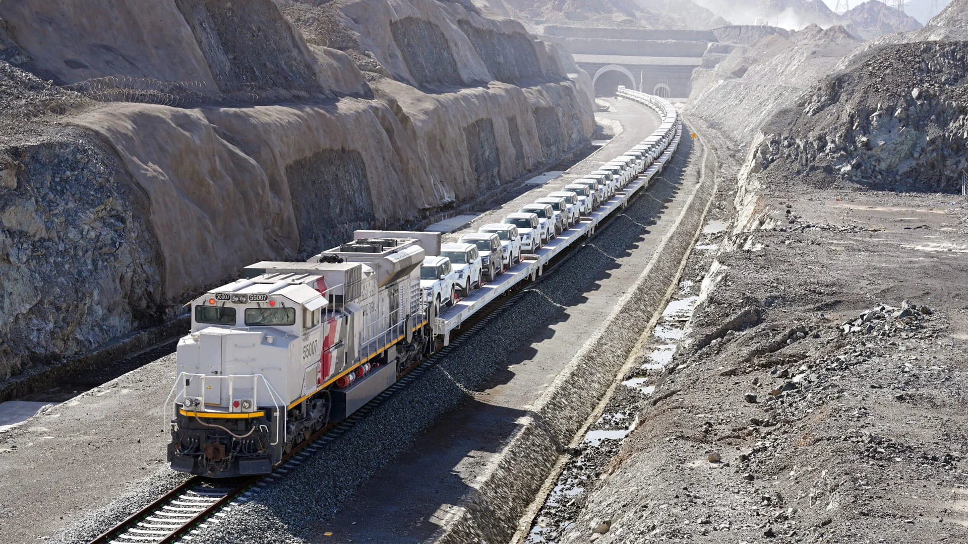 UAE completes first rail transport of passenger vehicles 