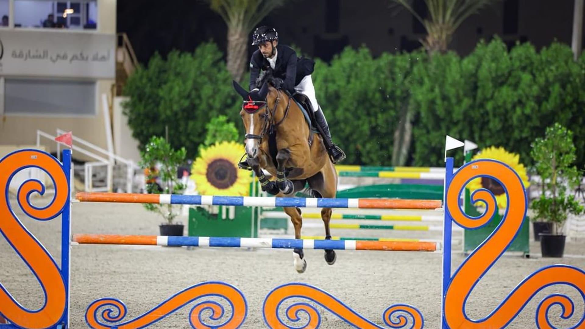 نادي الشارقة للفروسية يختتم موسم قفز الحواجز بـ18 شوطاً 