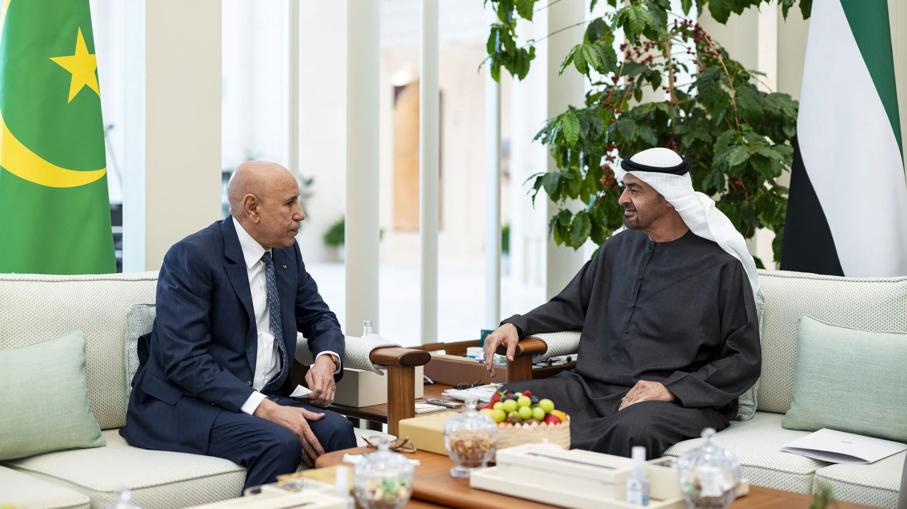 UAE, Mauritanian Presidents discuss bilateral cooperation