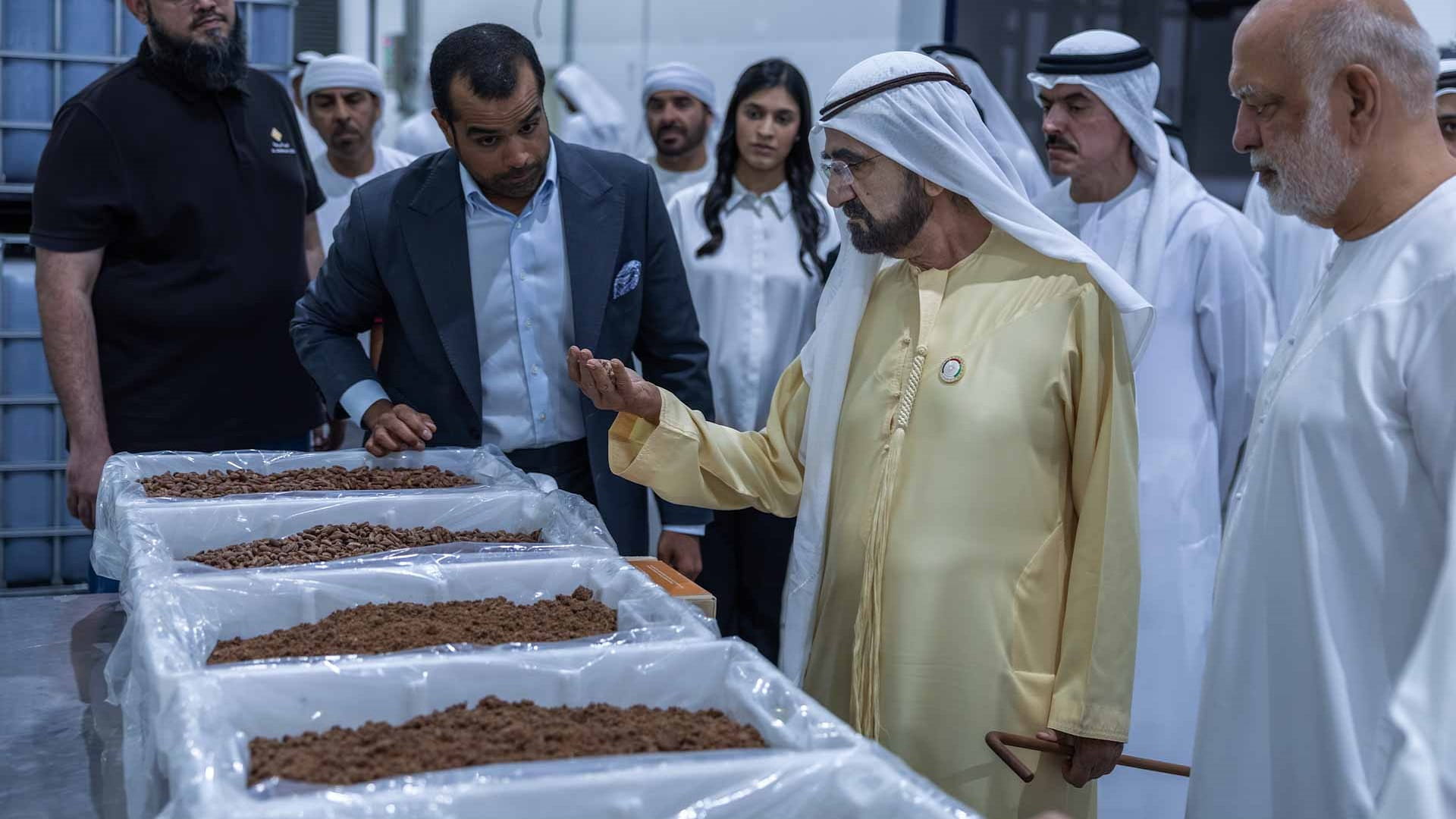 محمد بن راشد يزور مصنع "البركة" للتمور الأكبر في العالم